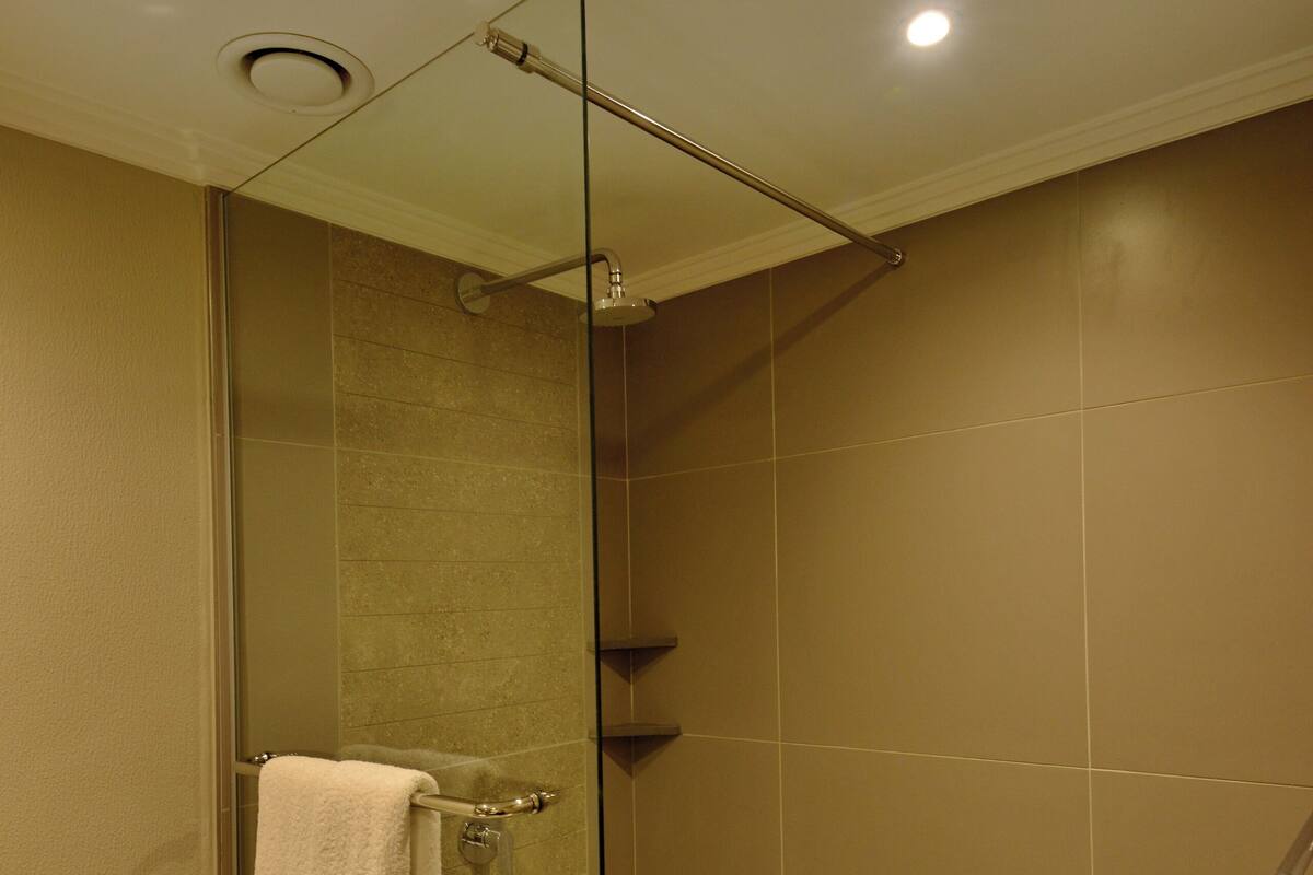 A glass-enclosed shower with a towel rack and a toilet paper holder.