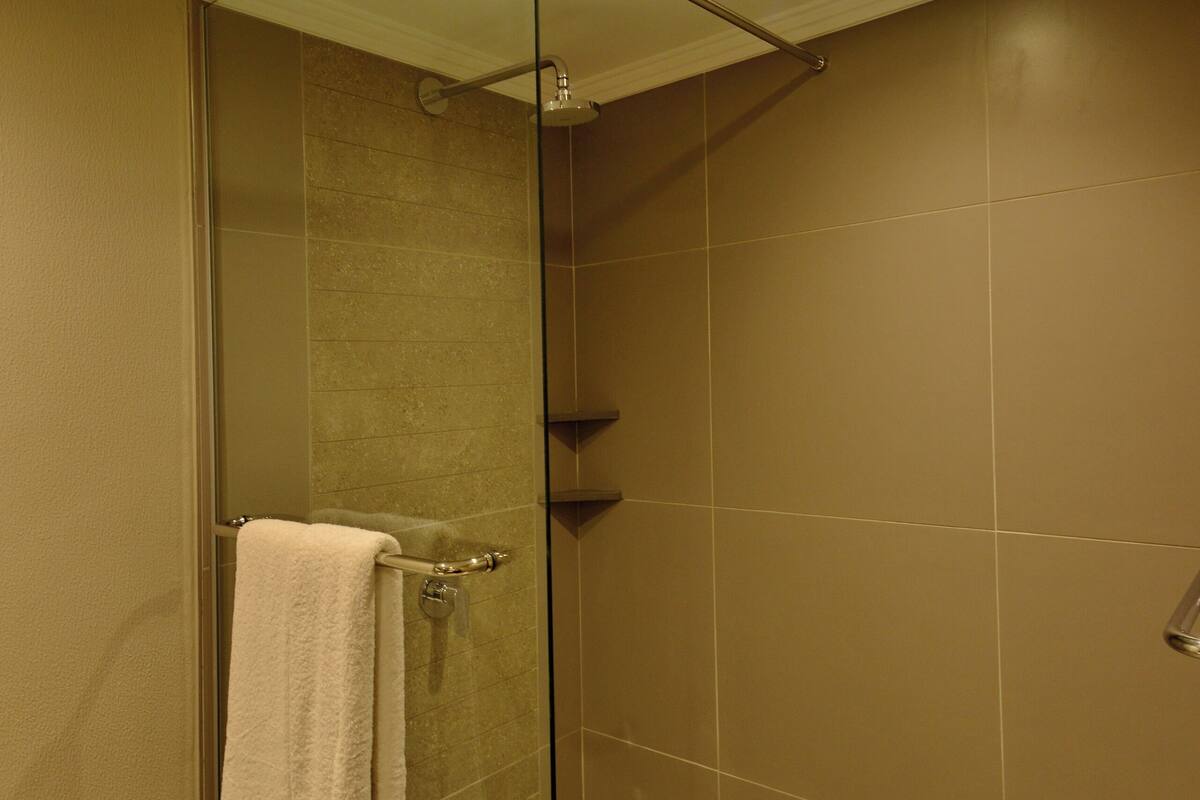 shower, hydromassage showerhead, free toiletries, hair dryer