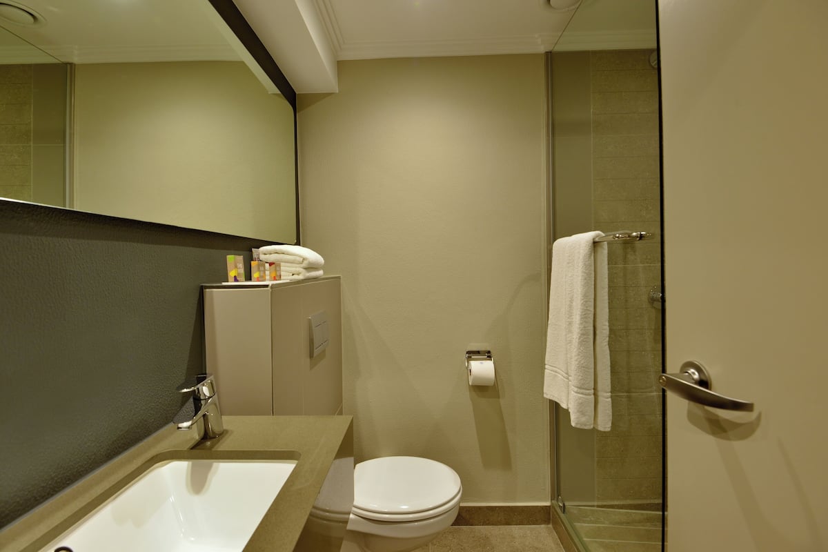 shower, hydromassage showerhead, free toiletries, hair dryer