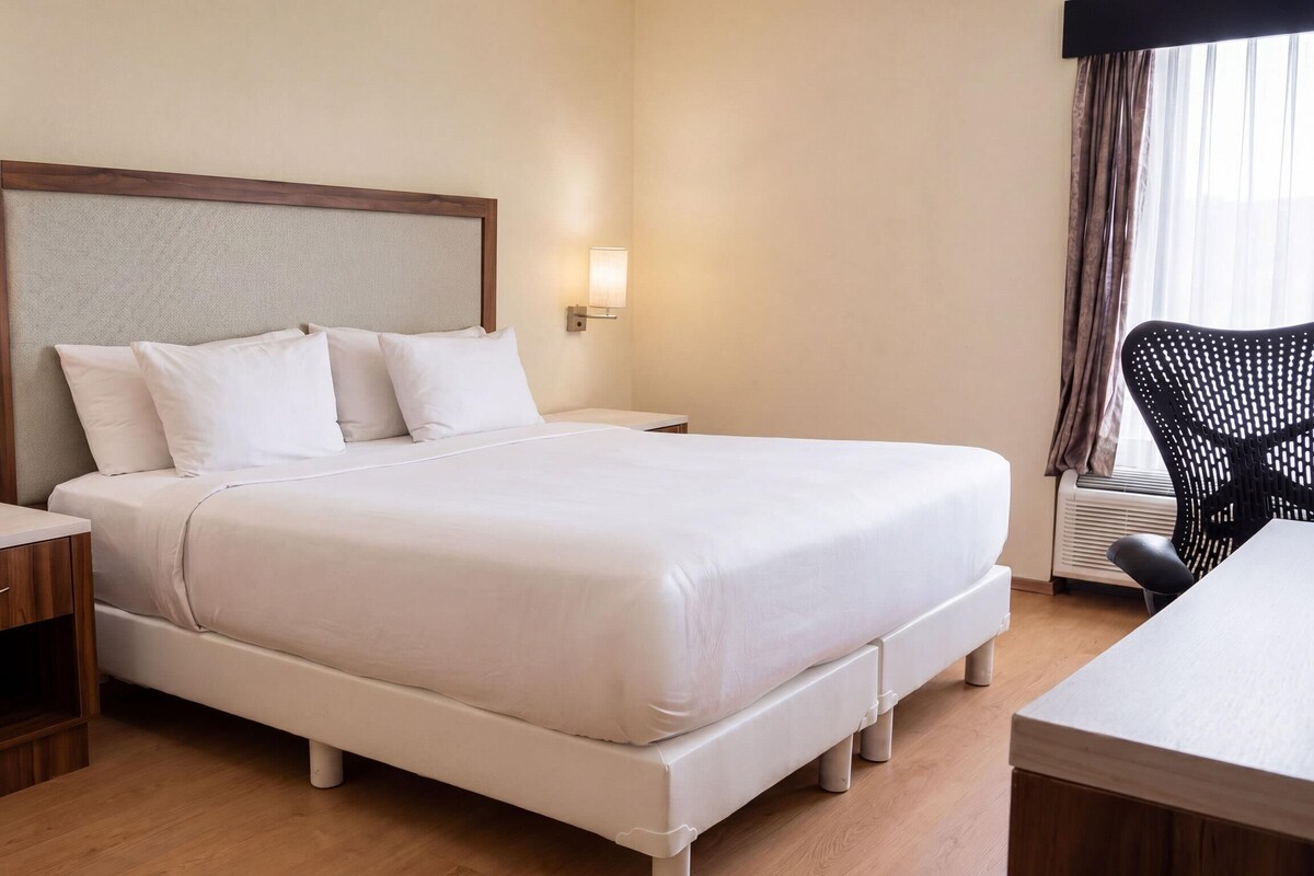 Ropa de cama de alta calidad, edredón y minibar 