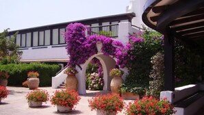 A building with a white facade, a covered walkway with arches, and potted plants with red and pink flowers. - Hotel Le Dune (Sabaudia)