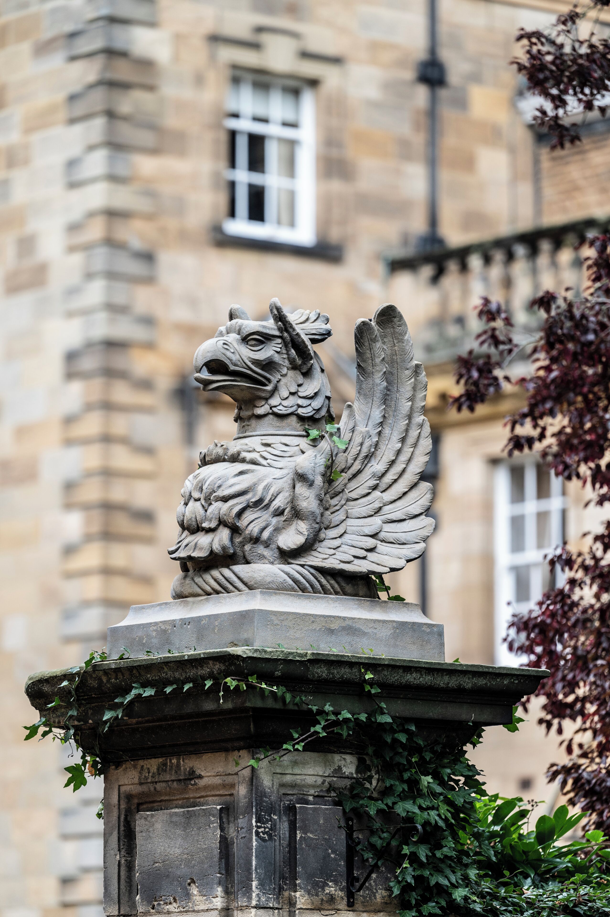 Una estatua de piedra de un águila sobre un pedestal con hiedra, frente a un edificio de paredes y ventanas de piedra.
