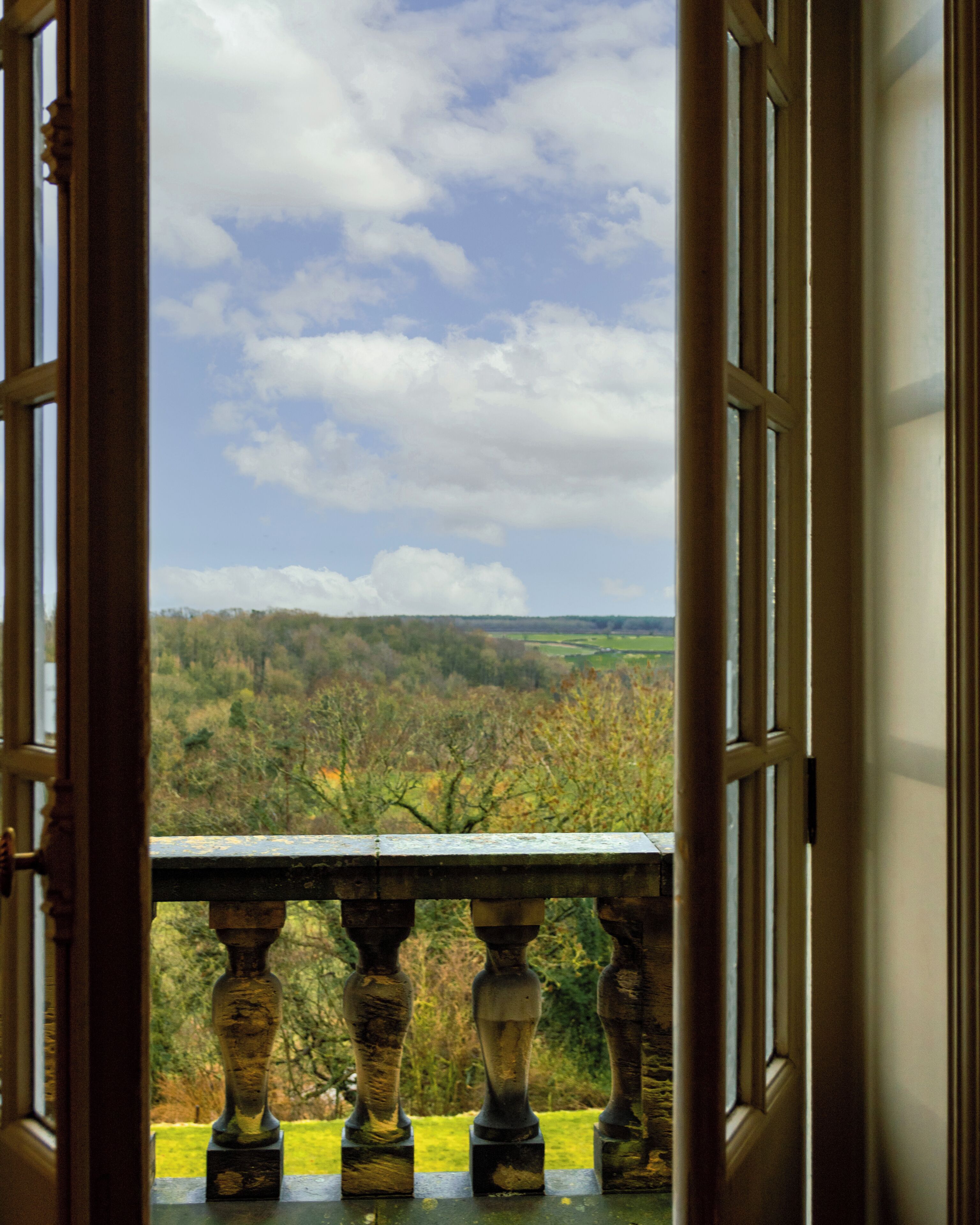 Vista a través de una ventana abierta con barandilla, sobre un paisaje con árboles y cielo nublado.