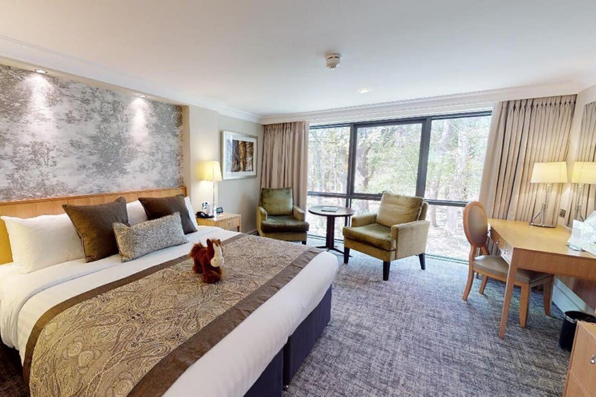 Superior Double or Twin Room