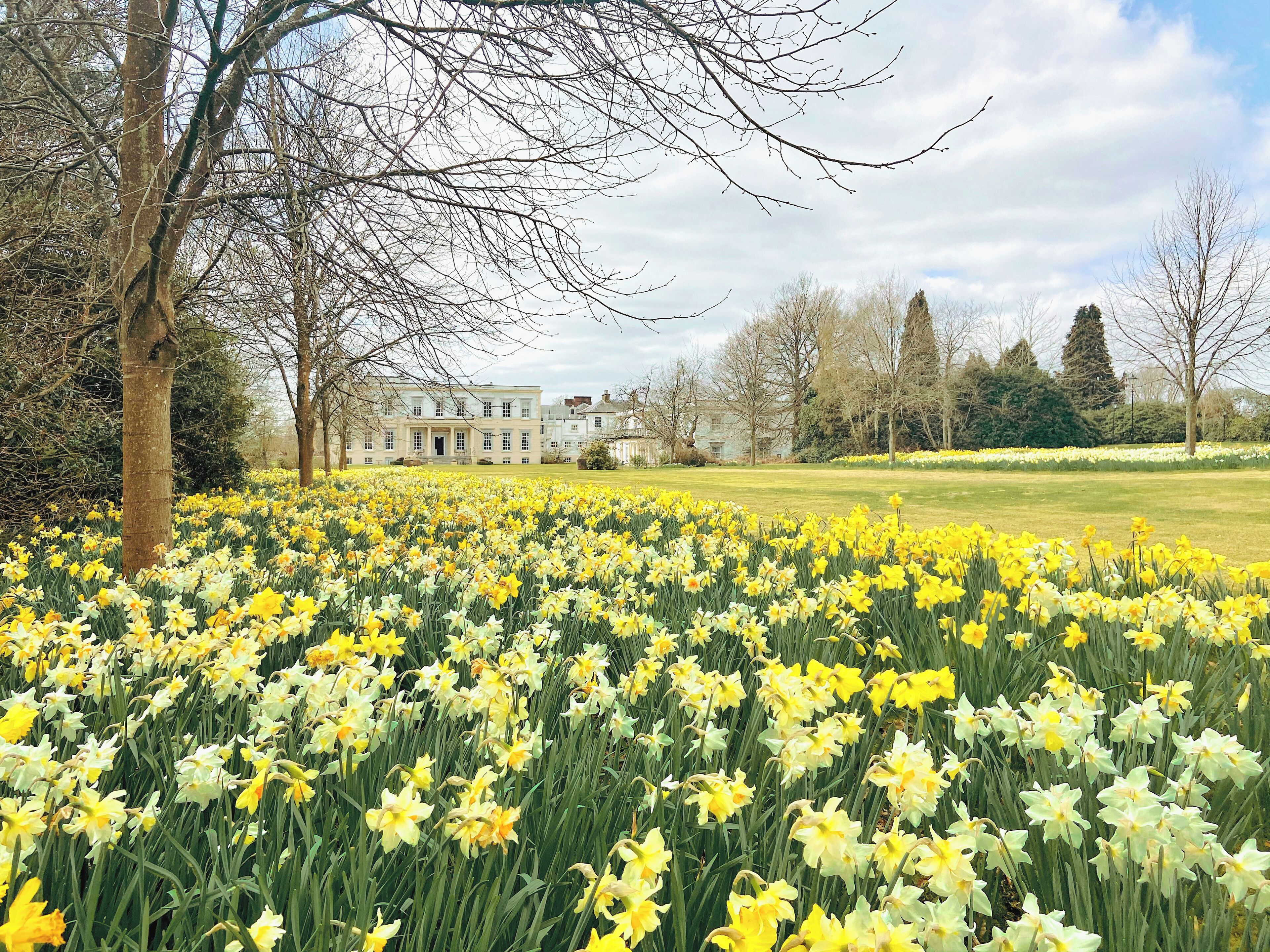 บริเวณภายนอก