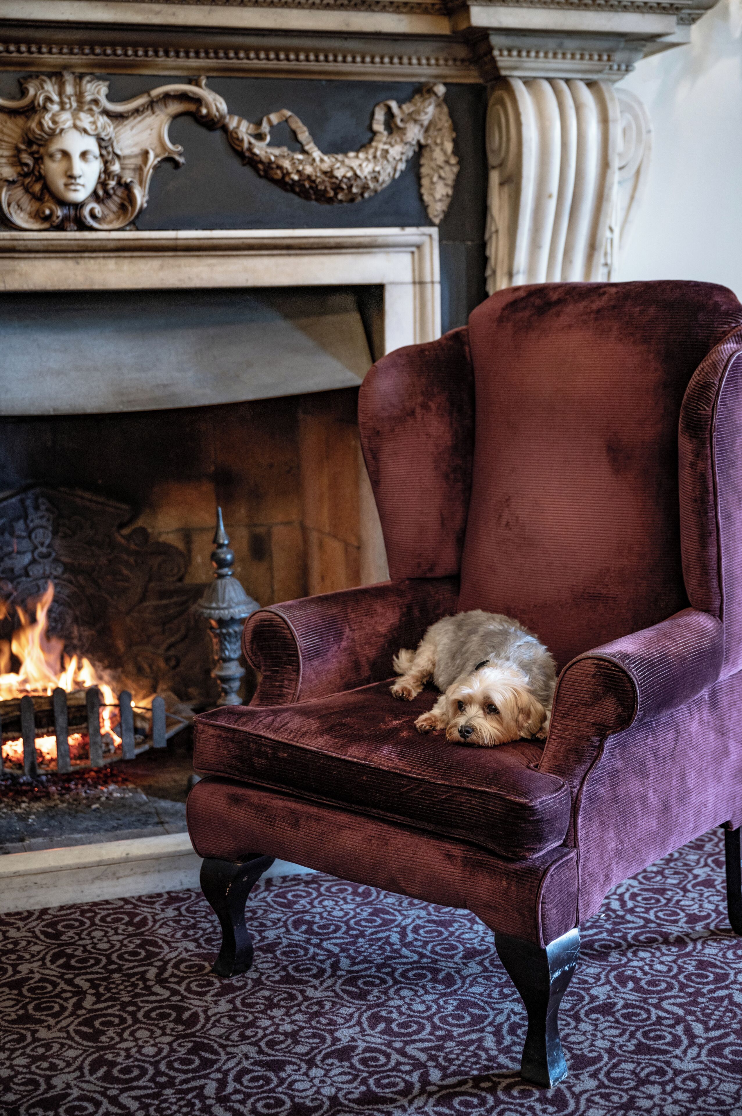 A plush armchair with a small dog resting on it, positioned in front of a fireplace with a decorative mantel.