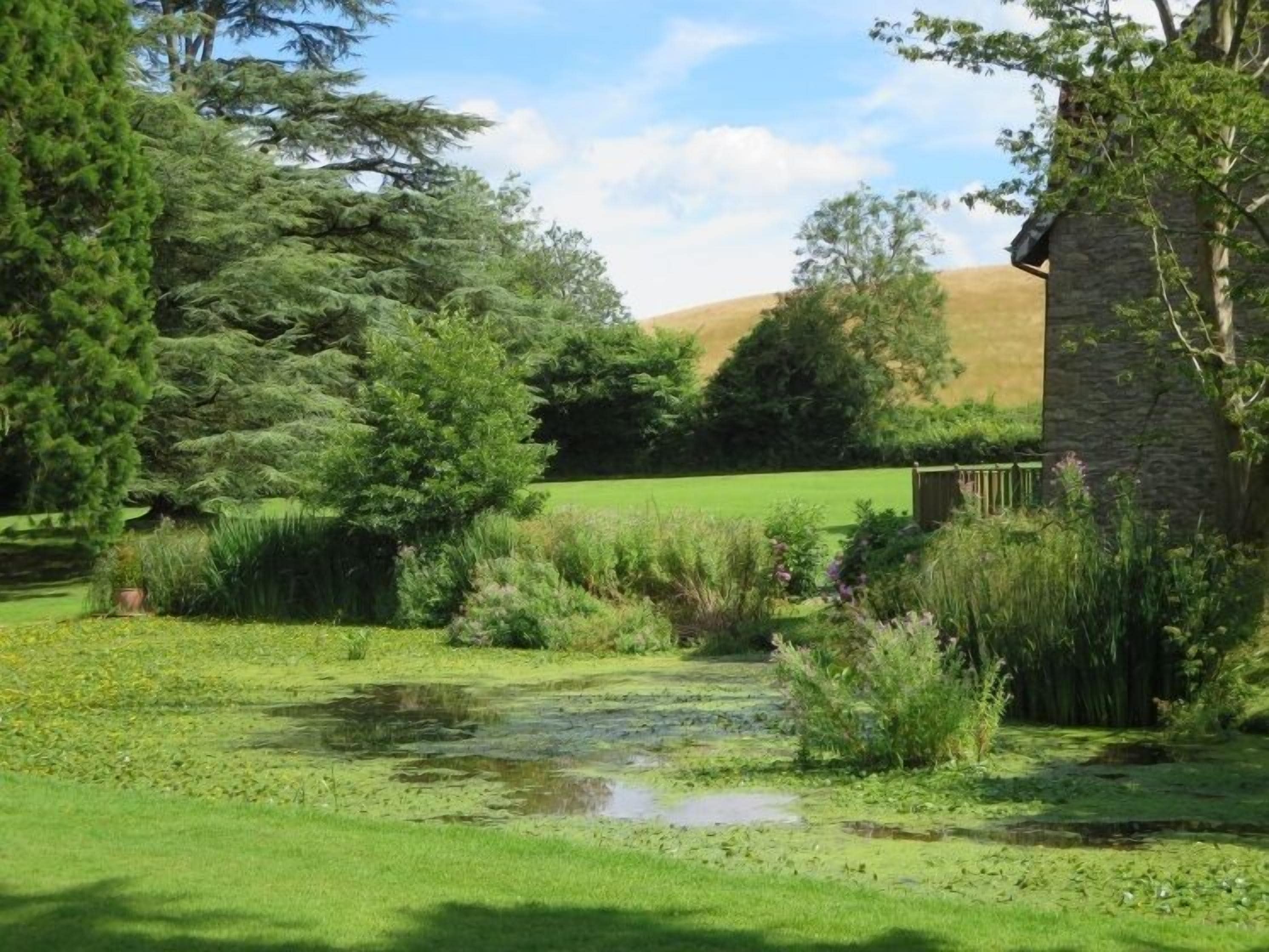 executive room, 1 double bed | garden view