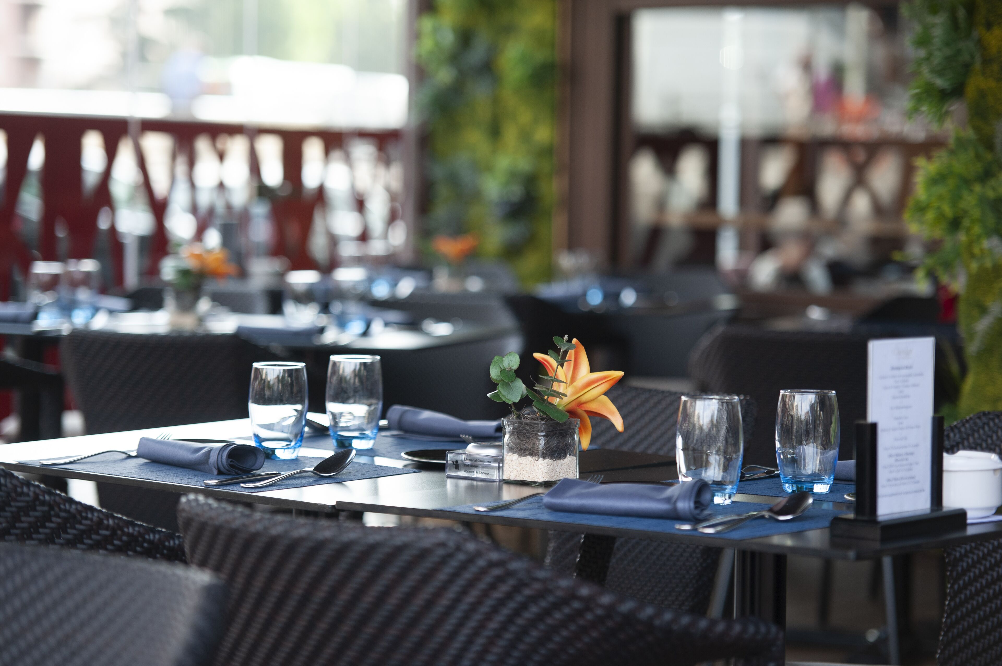 A restaurant setting with tables set for dining, featuring glassware, napkins, and a small potted plant.