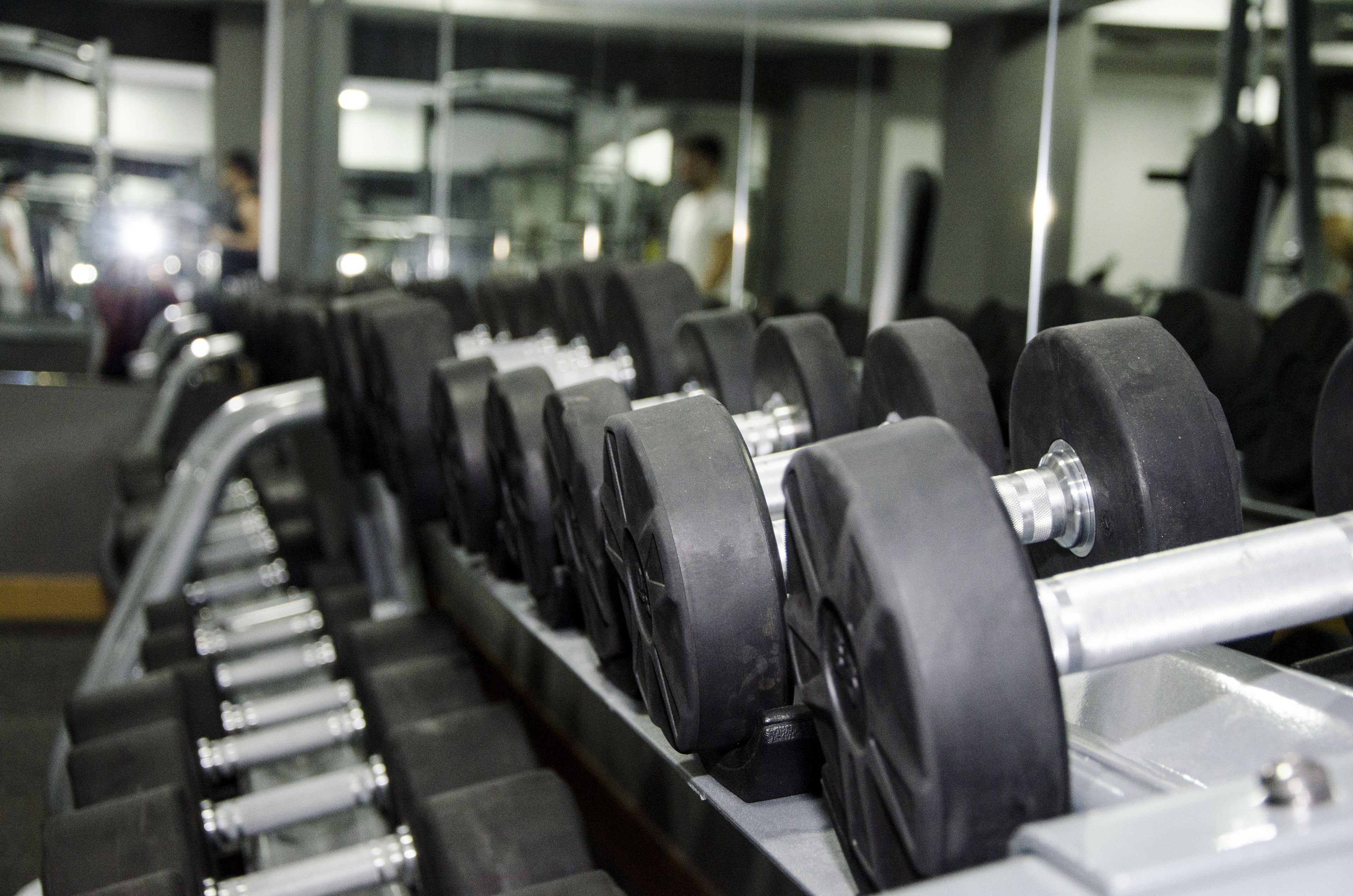 Una hilera de mancuernas negras en un estante dentro de un gimnasio.