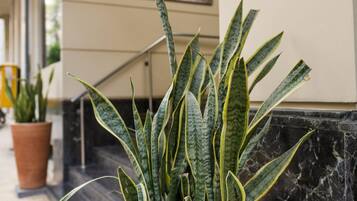 Entrada da propriedade