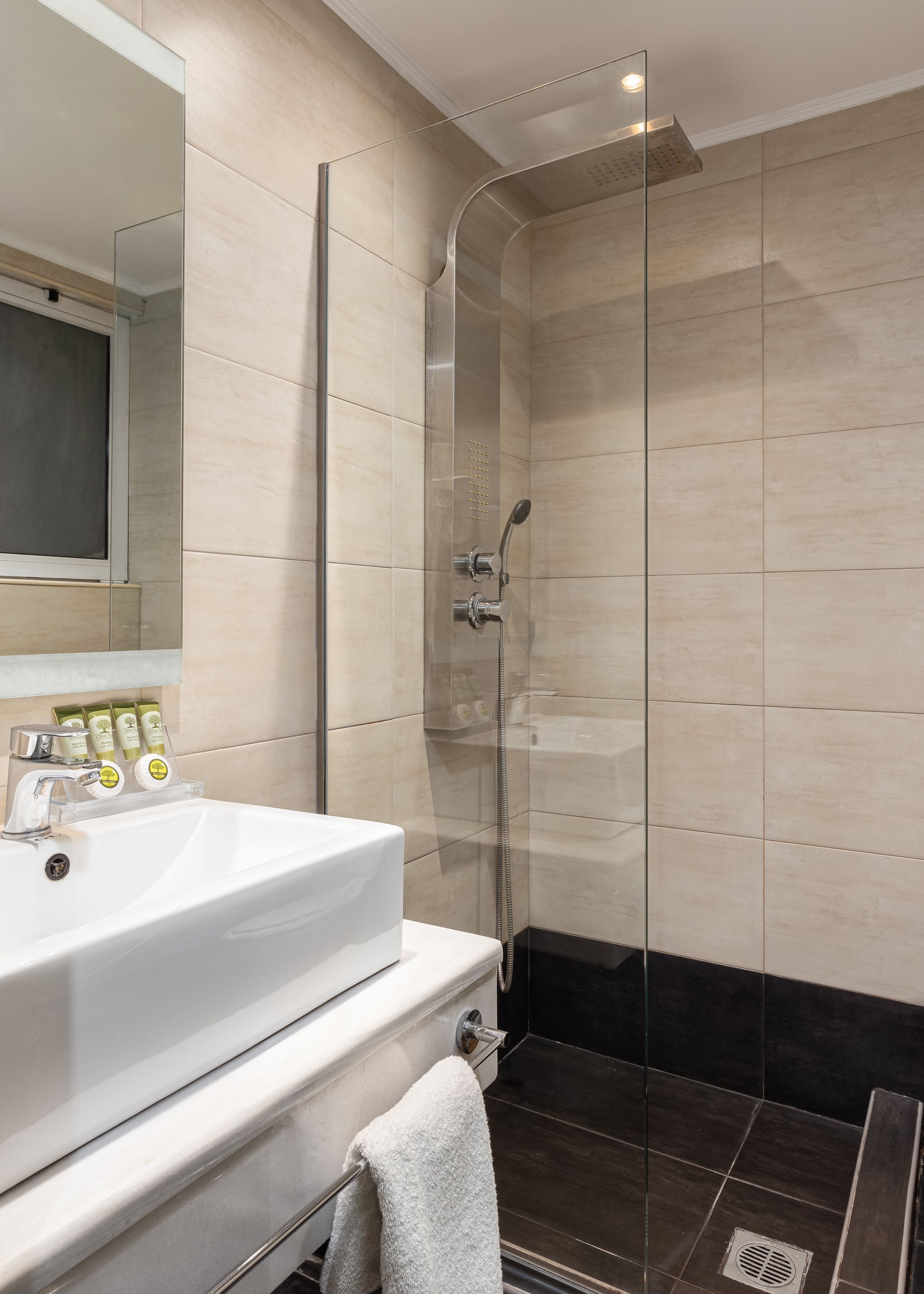 Une salle de bain moderne avec une douche à parois de verre, un lavabo blanc et des articles de toilette disposés sur le comptoir.
