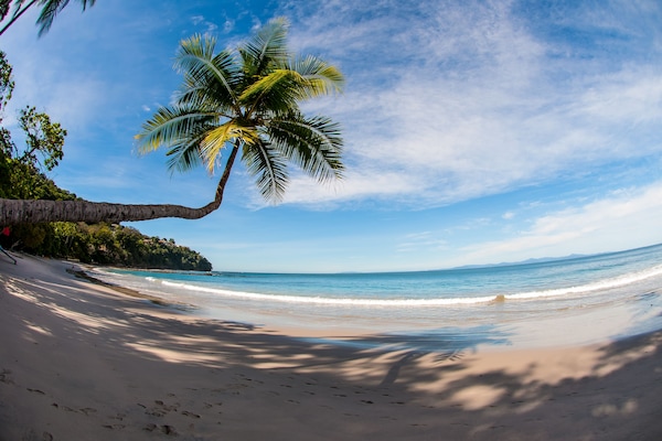 On the beach, white sand, free beach shuttle, beach towels