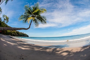 On the beach, white sand, free beach shuttle, beach towels
