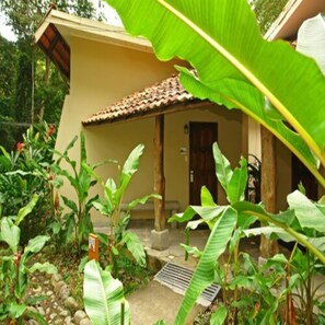 Una casa con tejado de tejas, rodeada de abundante vegetación, incluyendo plantas de banano y otra flora tropical.