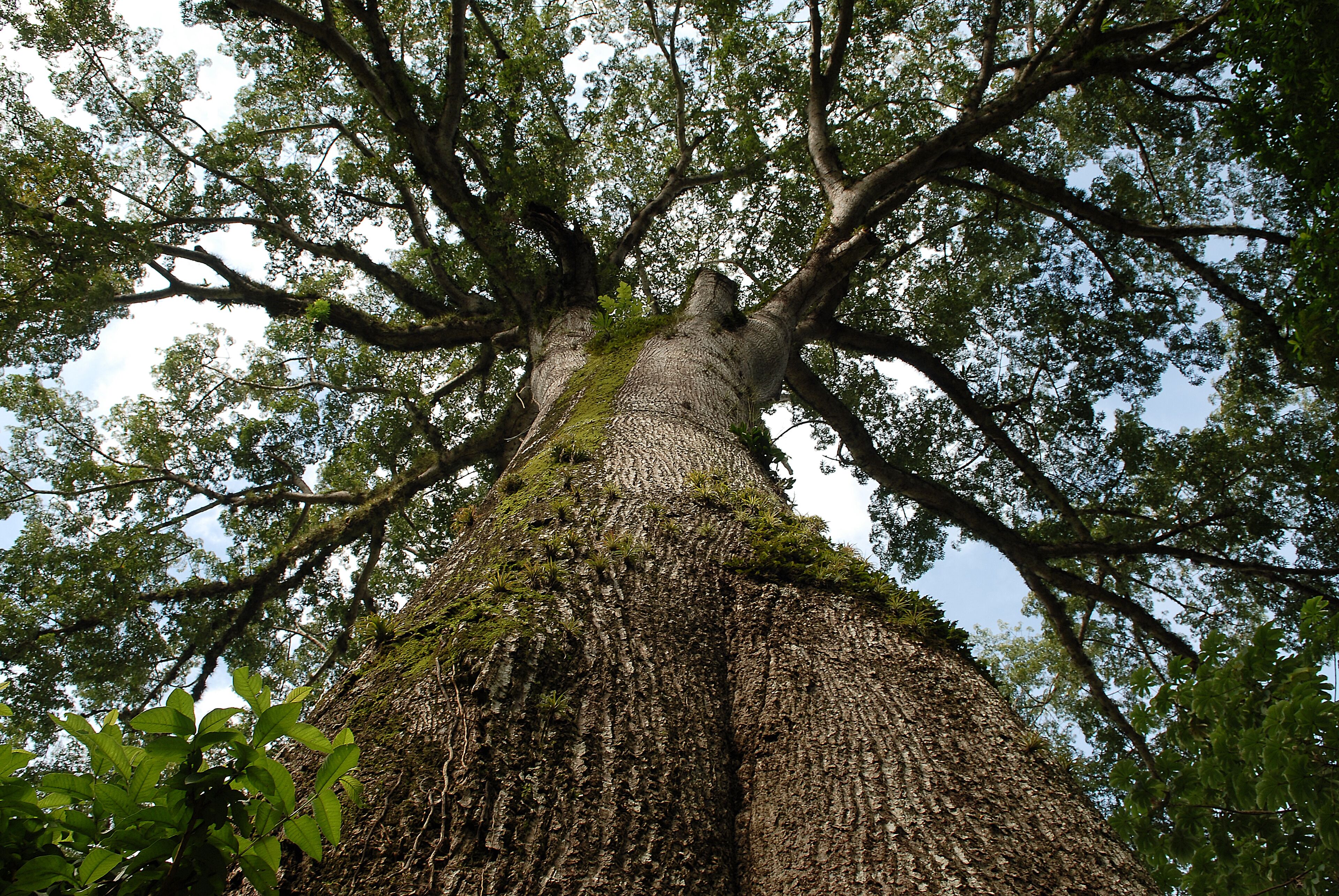 Photo - Hotel Punta Leona