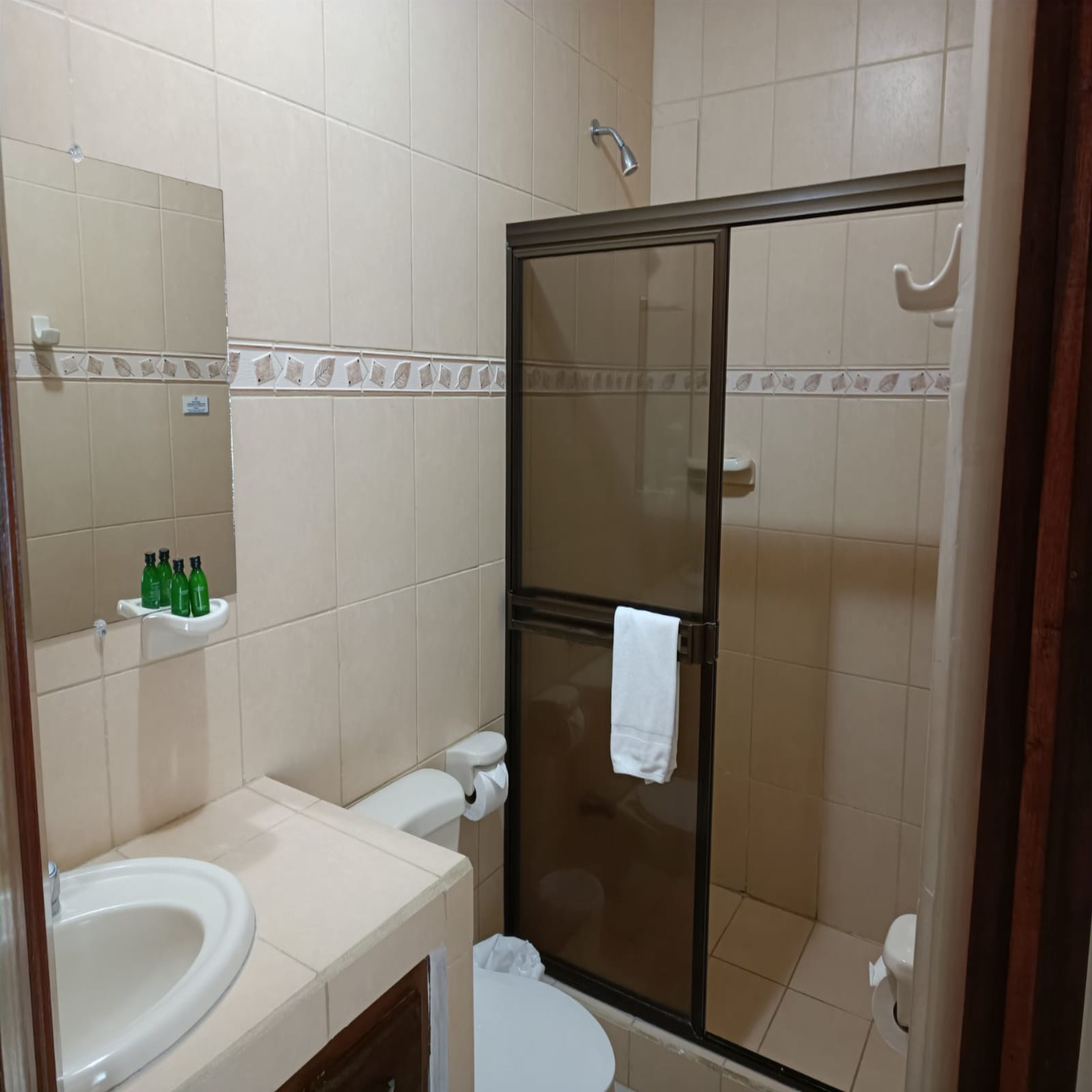 A bathroom with a glass-enclosed shower, a sink, and a toilet.