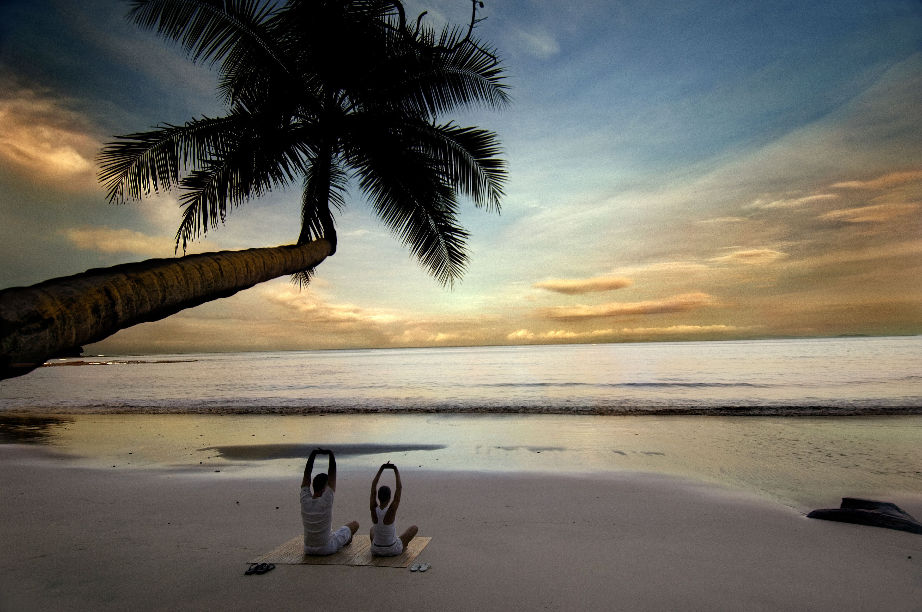 A beach with a palm tree and two people meditating on a mat.