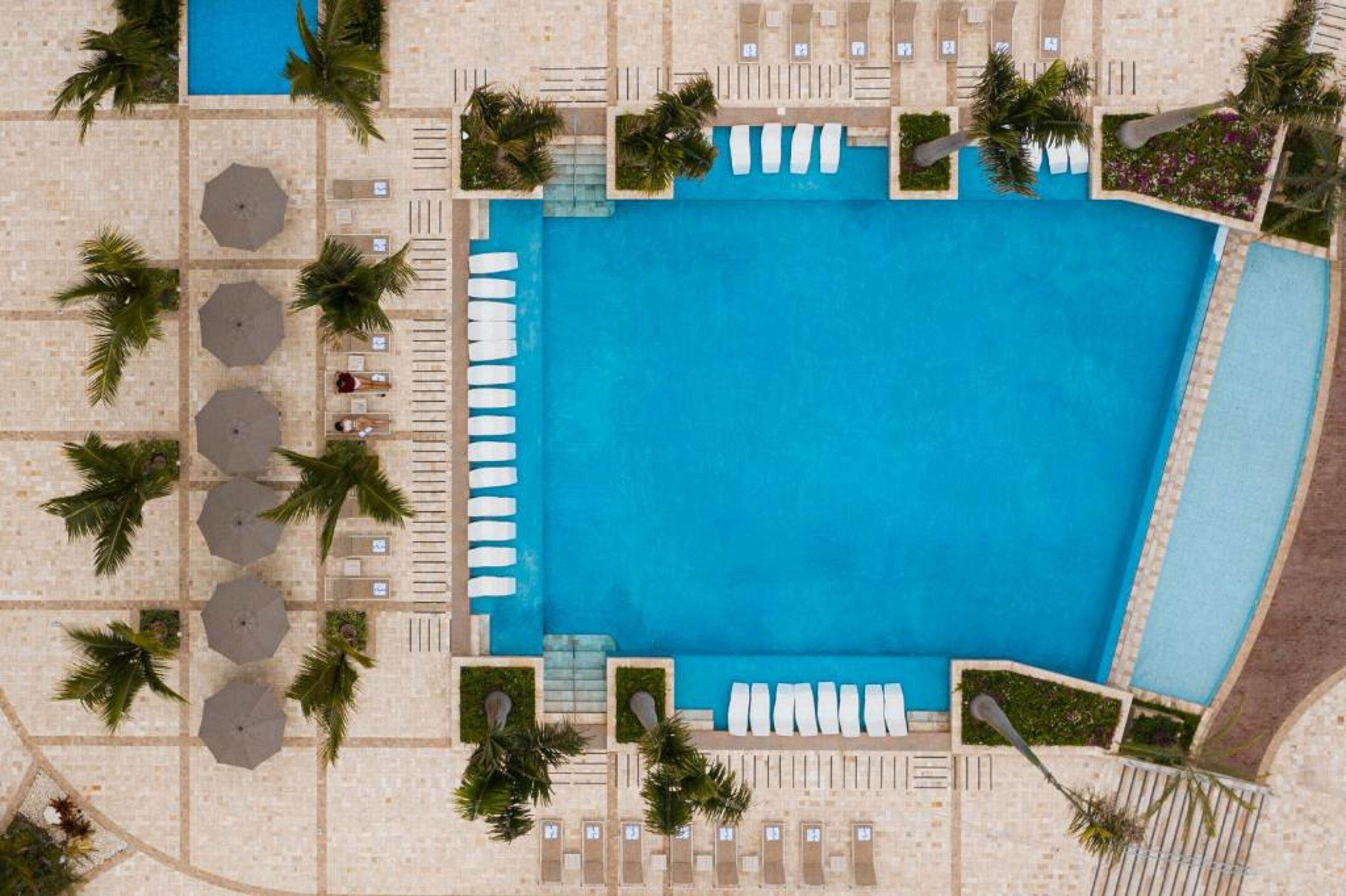 Foto - Oro Verde Manta