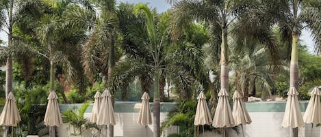 Piscine extérieure, parasols de plage, chaises longues