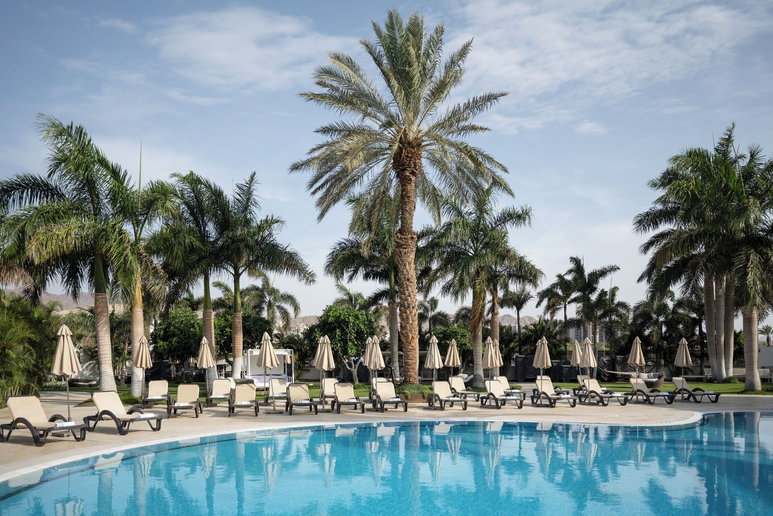 outdoor pool, pool umbrellas, pool loungers