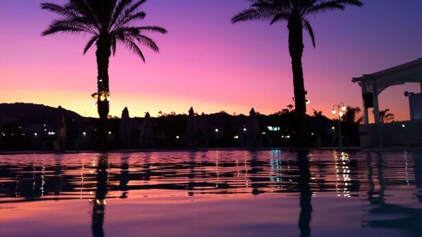 Un atardecer sobre un cuerpo de agua con palmeras y un pabellón.