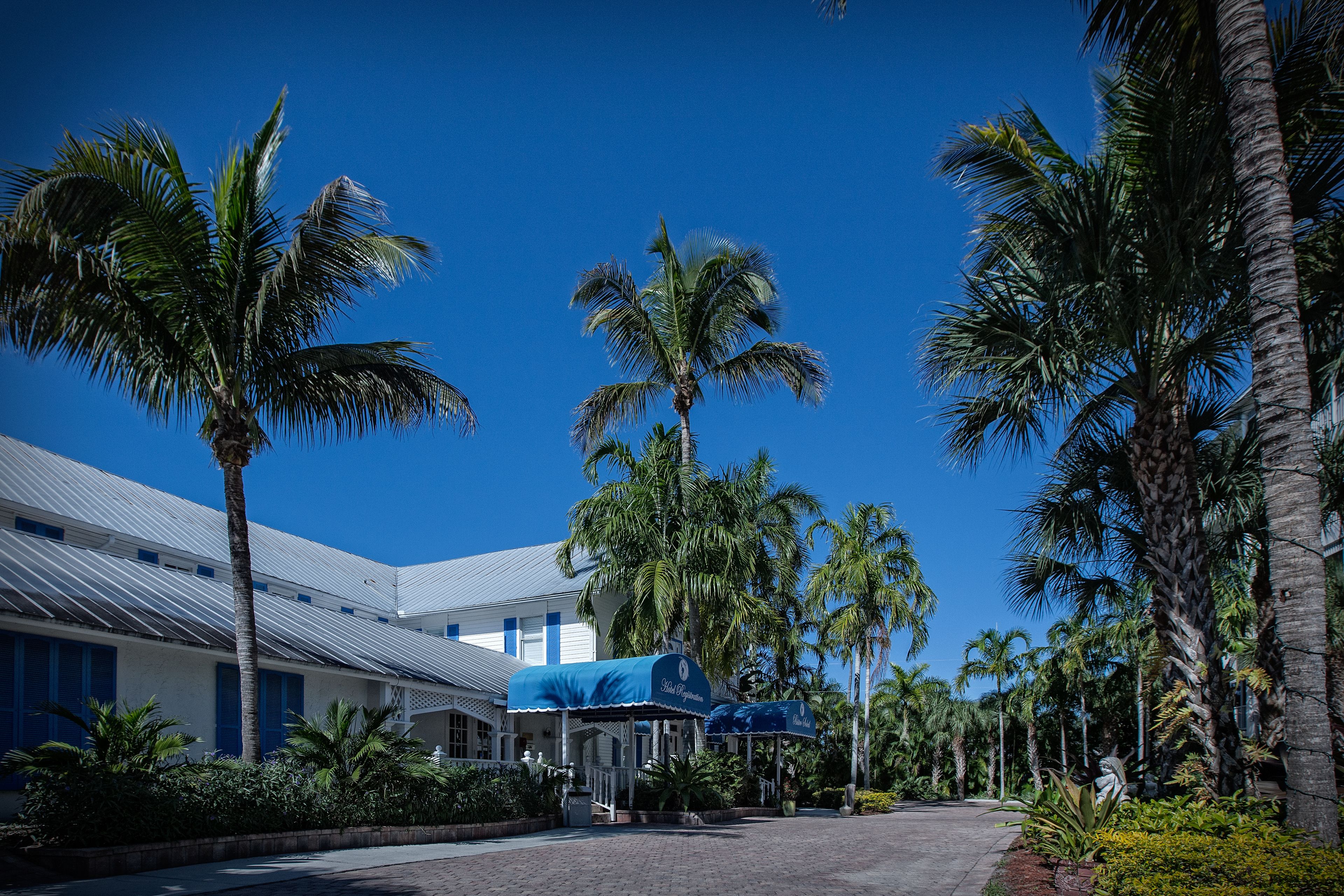 A hotel with a covered outdoor seating area, palm trees, and a clear blue sky.