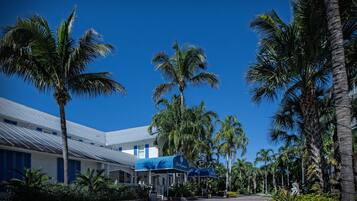 A hotel with a covered outdoor seating area, palm trees, and a clear blue sky.