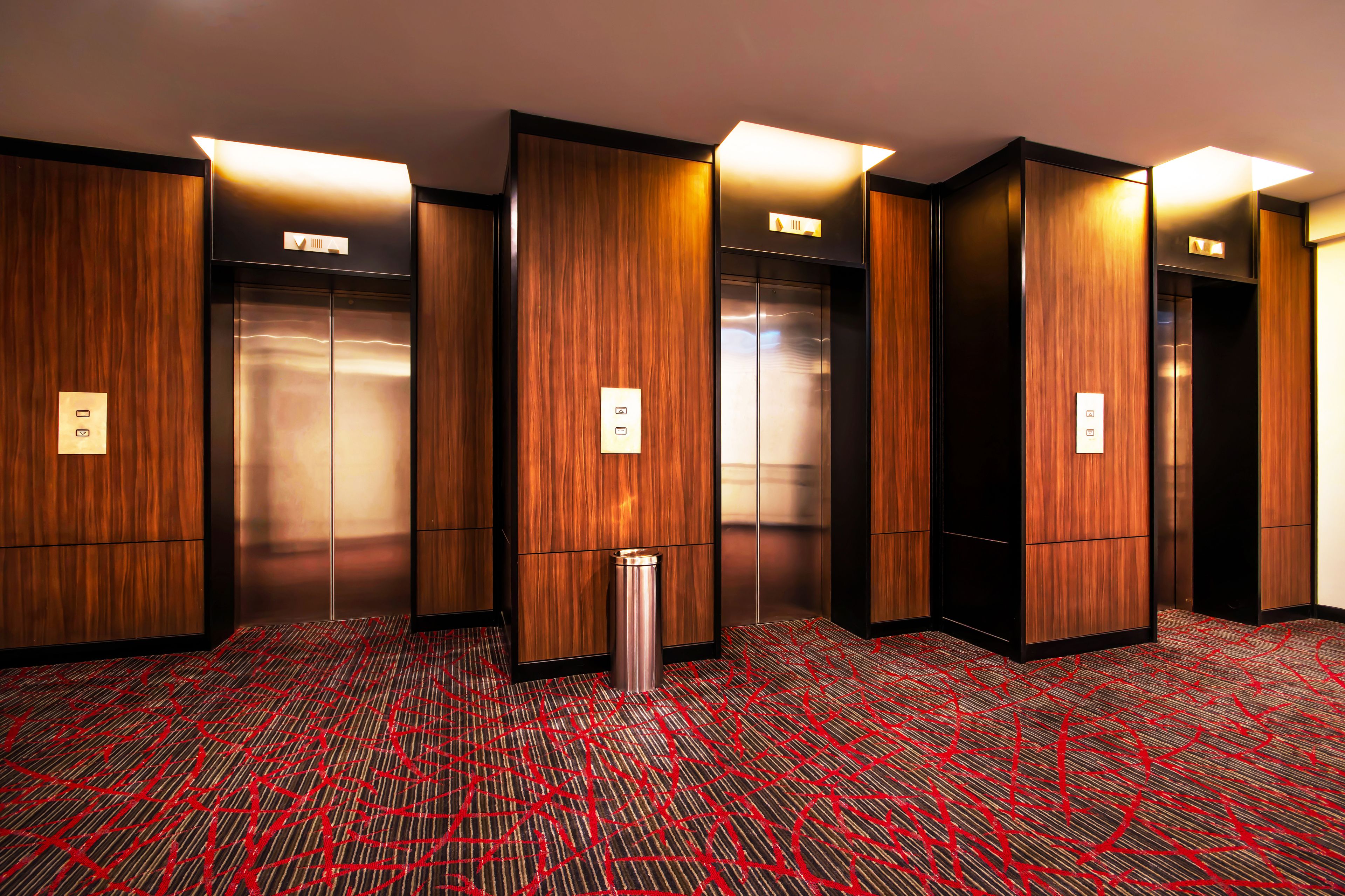 Vestíbulo de hotel con cuatro ascensores, un contenedor de basura y una alfombra estampada.