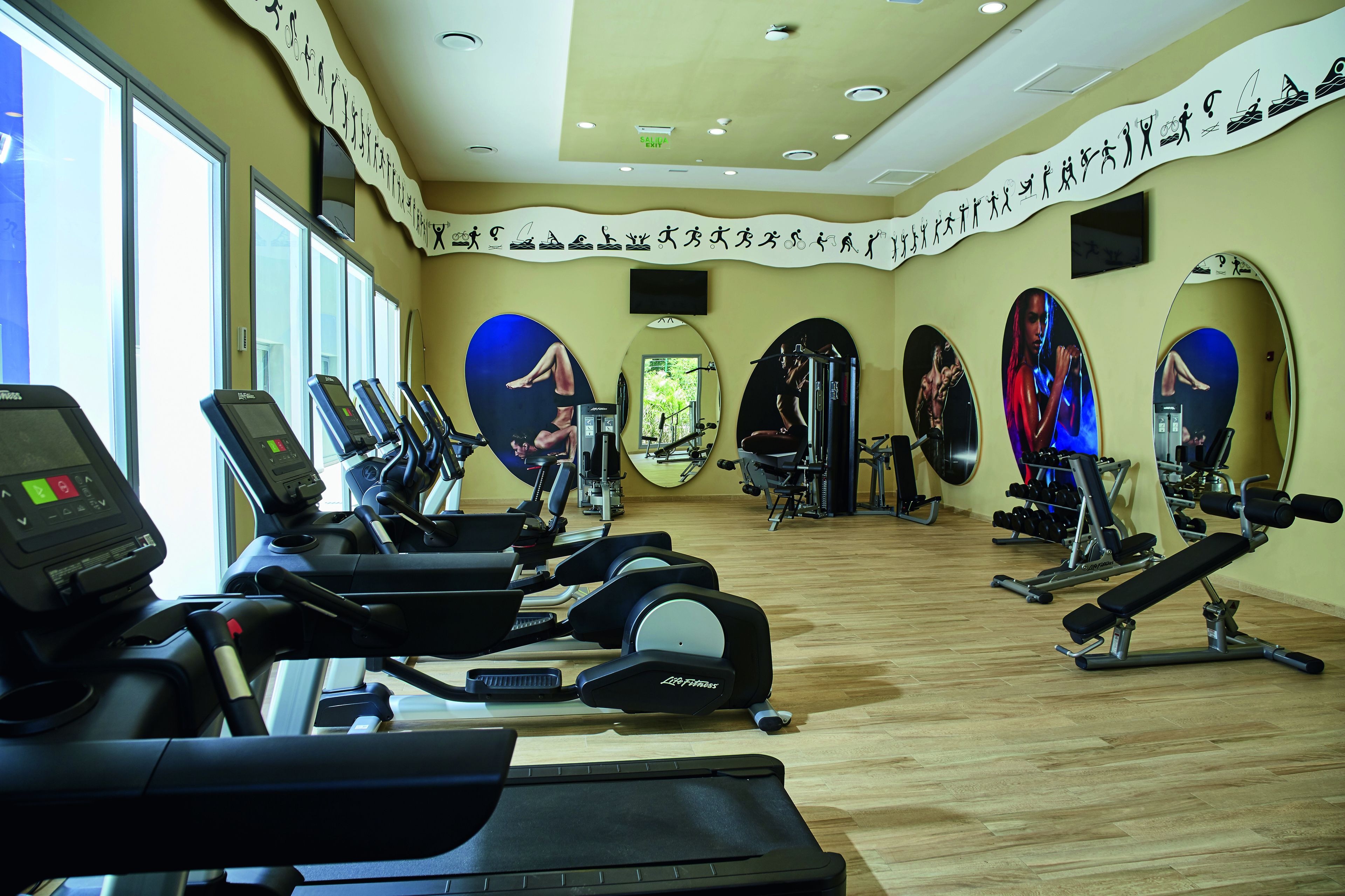 Una palestra con tapis roulant, ellittiche e attrezzature per sollevamento pesi.