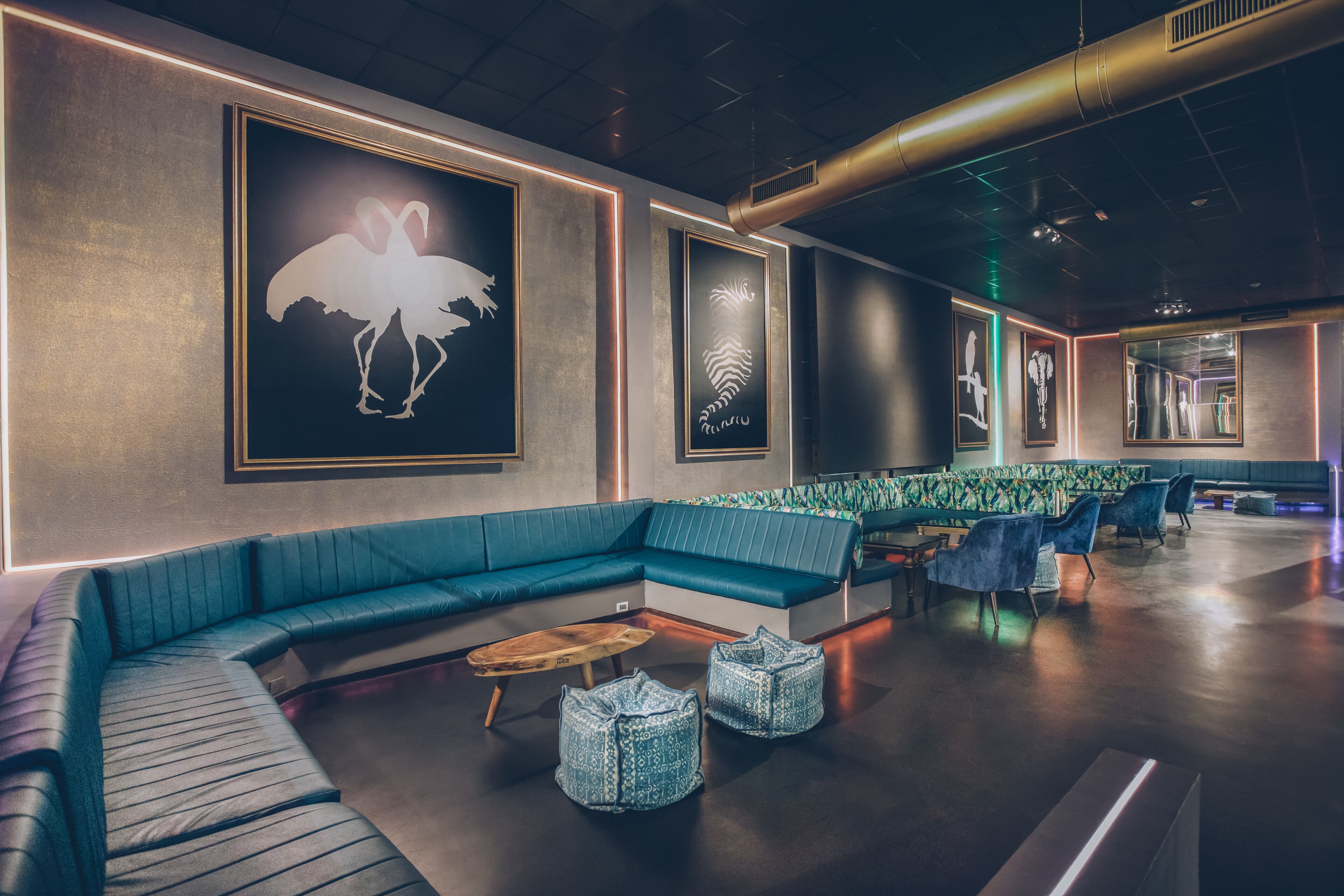 Photo - Iberostar Waves Dominicana - All Inclusive