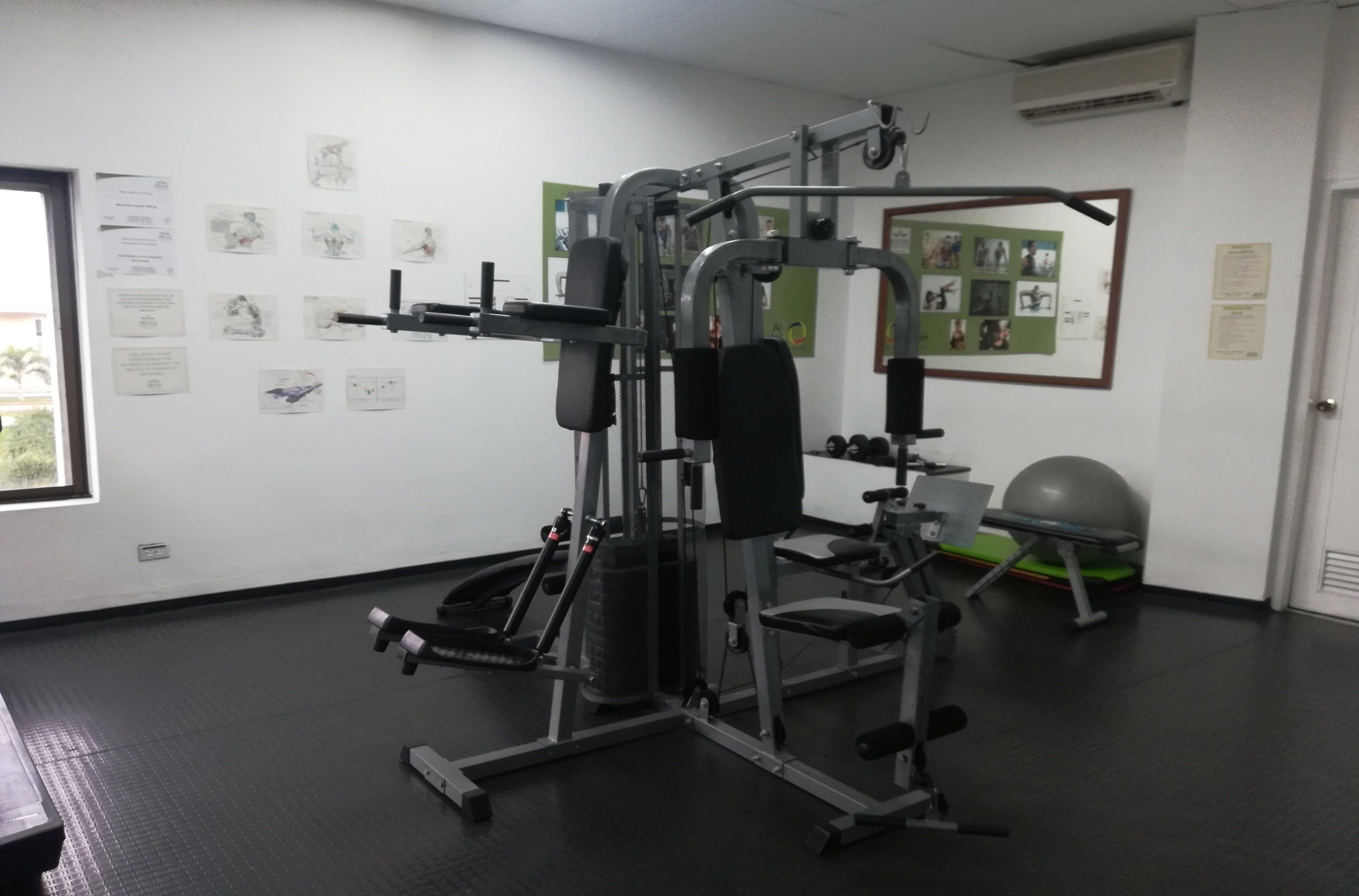 체육관