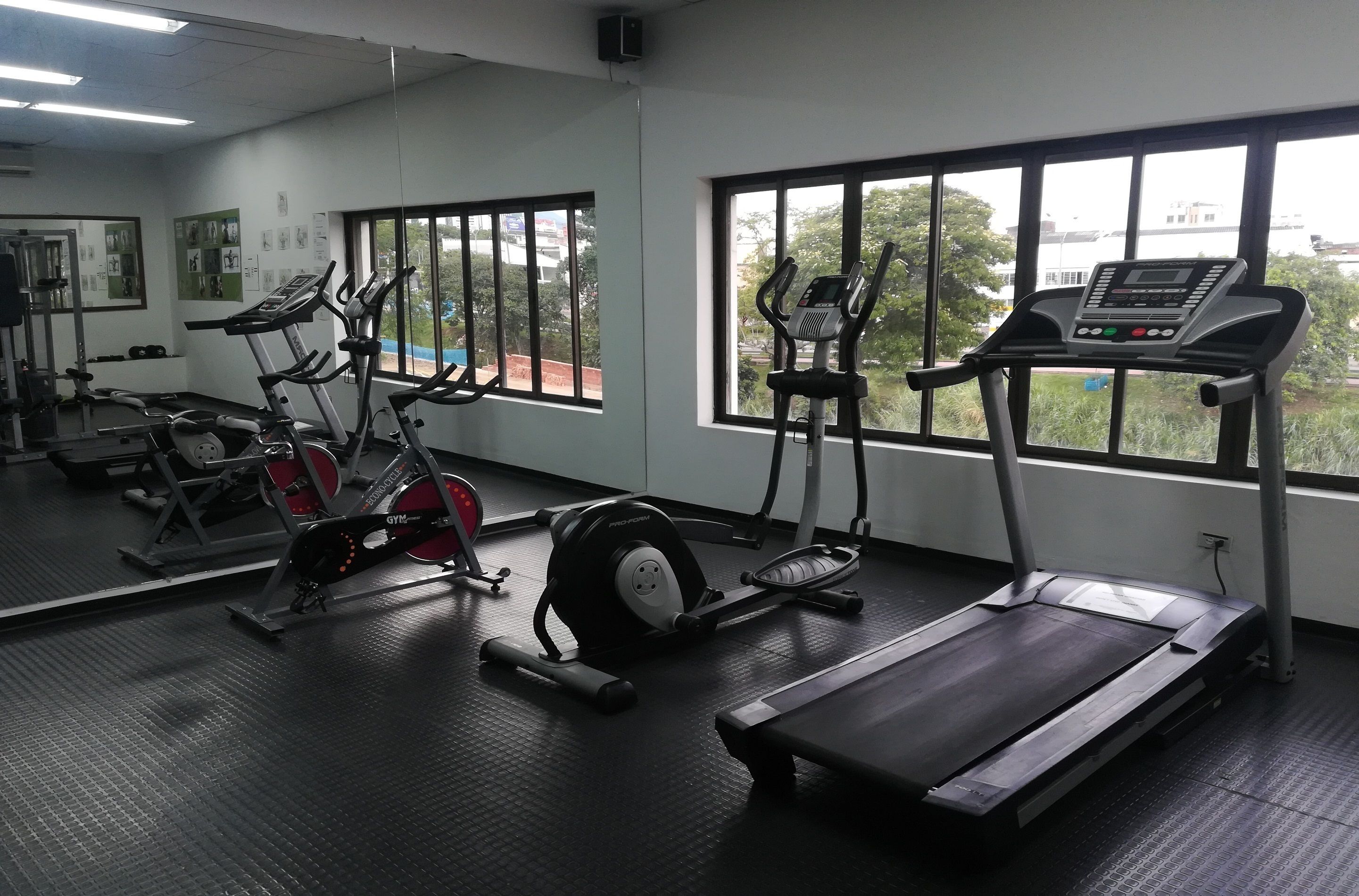 A gym with treadmills, elliptical machines, and a rowing machine.