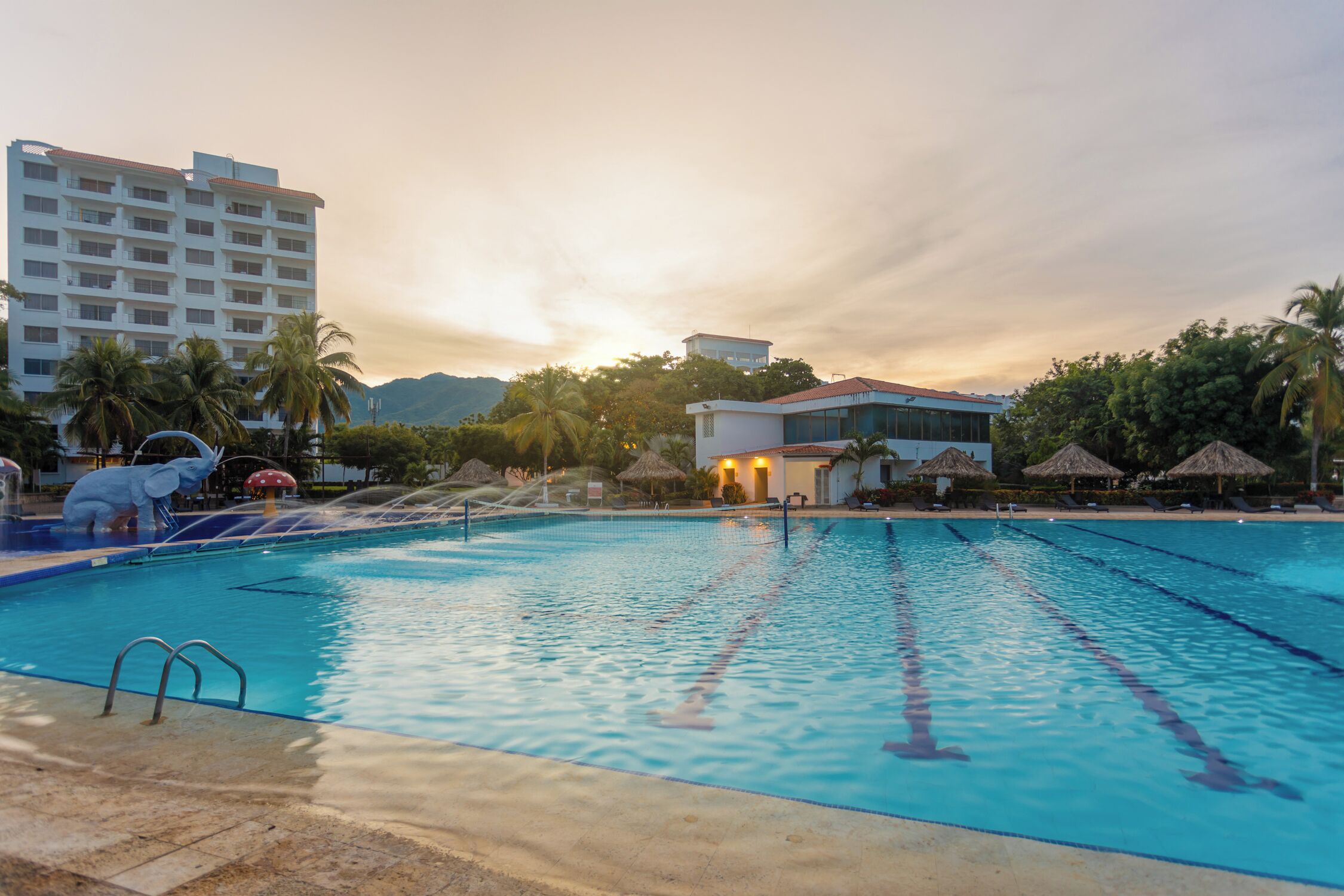 A swimming pool with clear lanes, surrounded by palm trees and a building with a red roof.