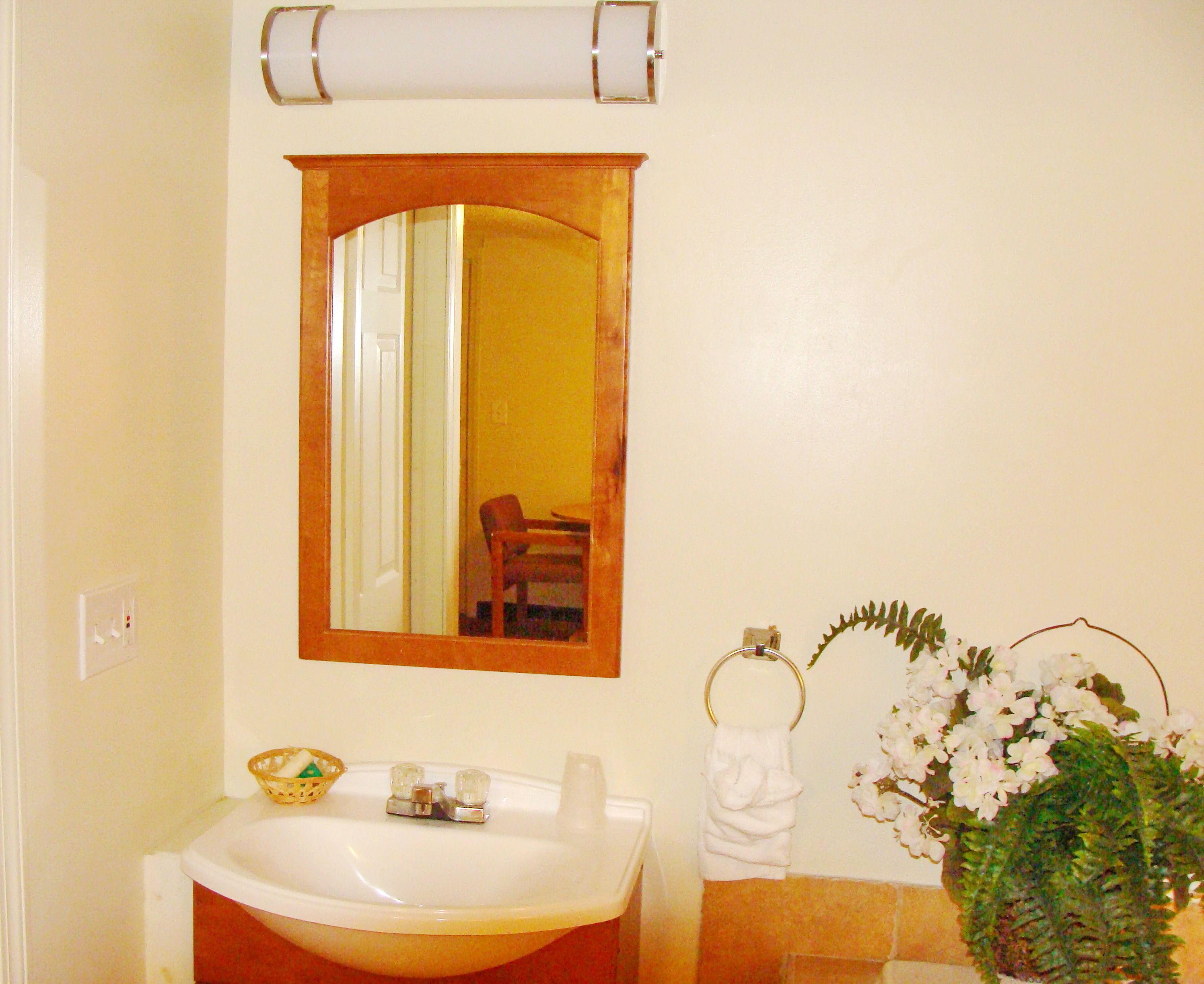 A bathroom with a sink, mirror, towel ring, and a potted plant.