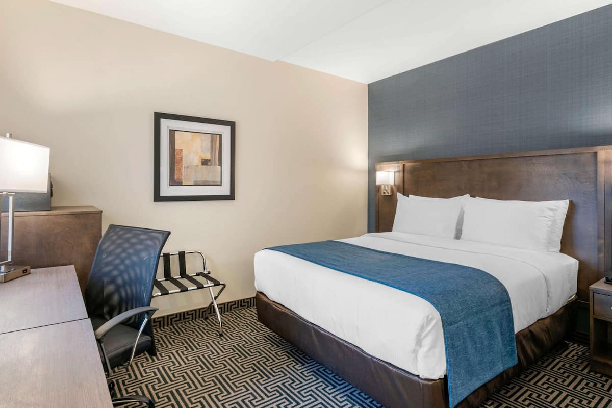 Standard Room, 1 Queen Bed, Non Smoking | In-room safe, desk, laptop workspace, blackout curtains