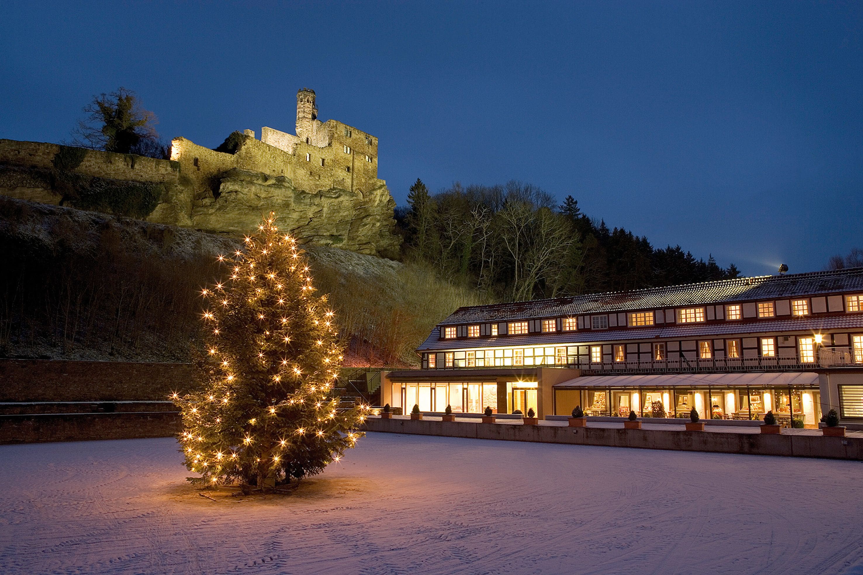 A hotel with a traditional European architectural style, featuring a large, illuminated Christmas tree in the foreground.