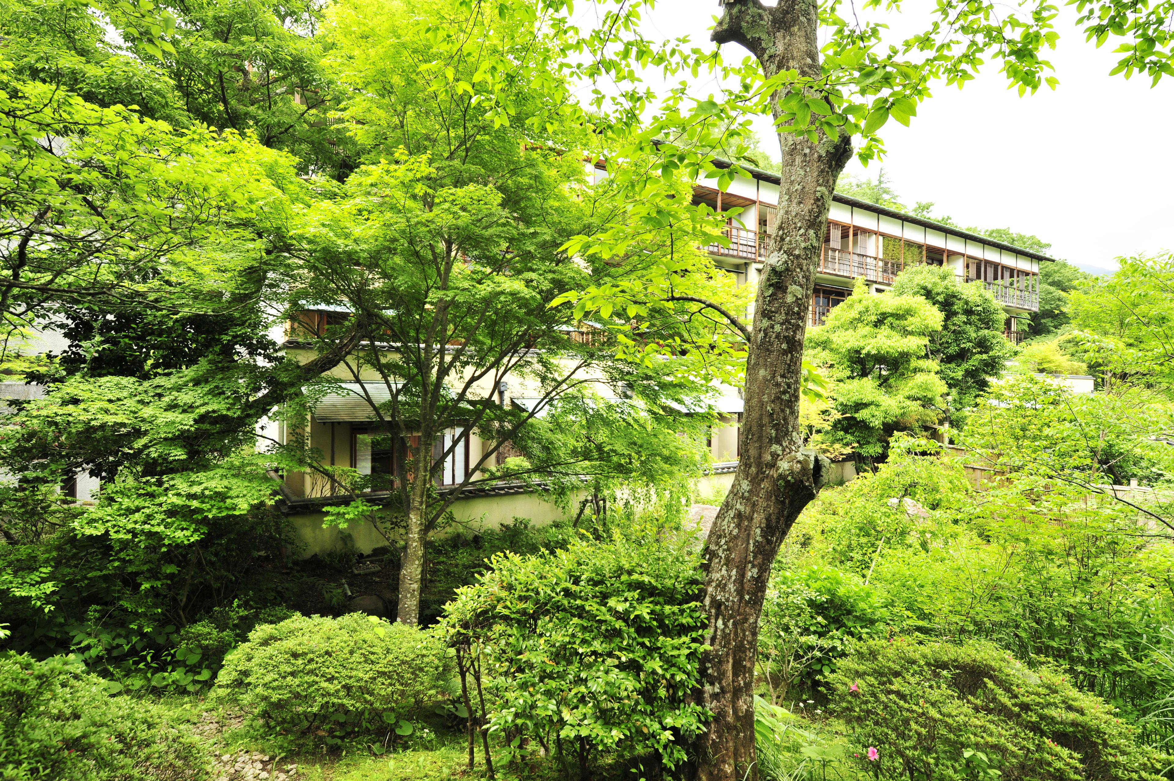 Un bâtiment traditionnel japonais, entouré d’une végétation luxuriante.