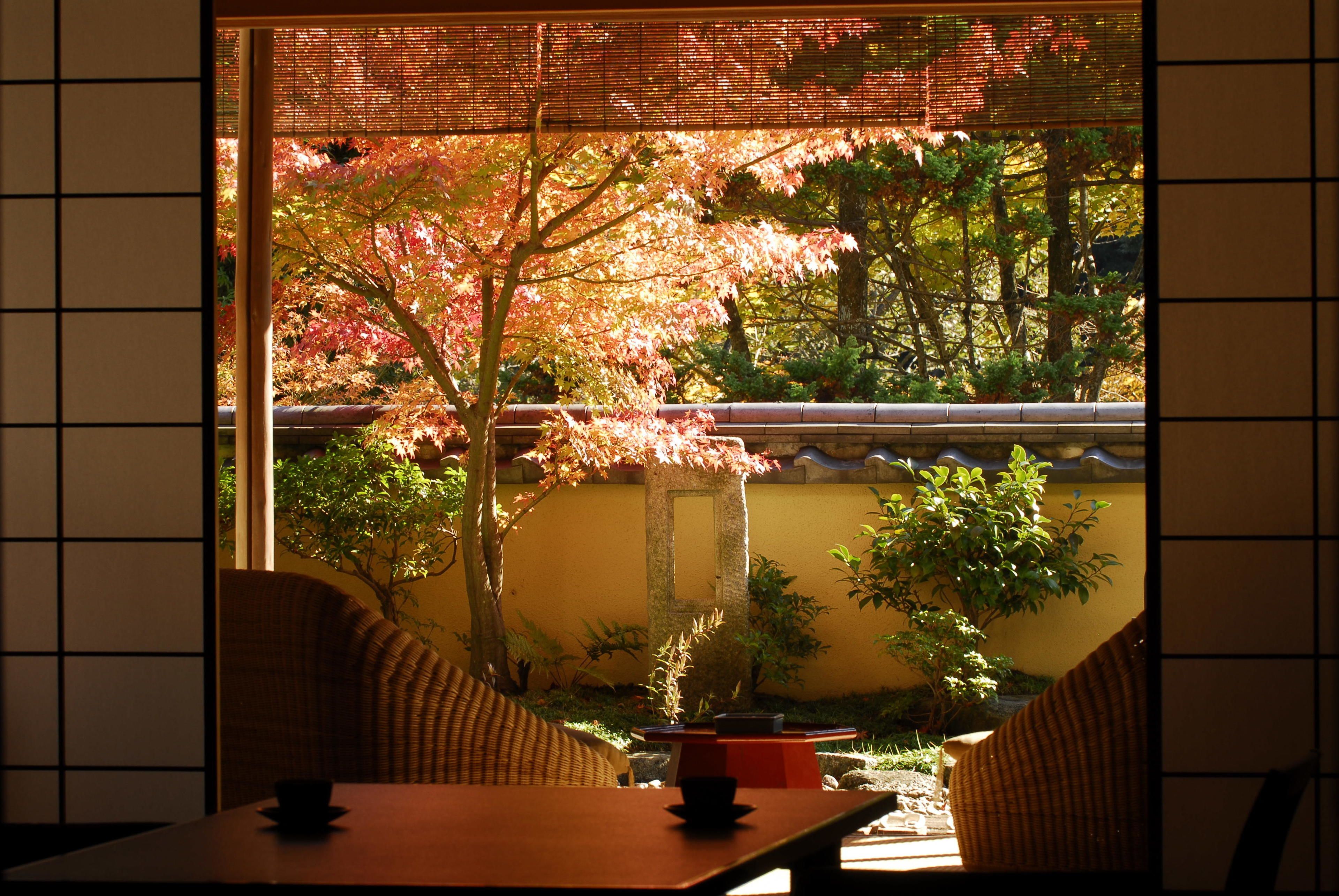 A traditional Japanese room with tatami flooring, a low table, and a view of a garden with autumn foliage.
