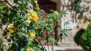 A courtyard with a stone building, a fountain, and yellow roses.