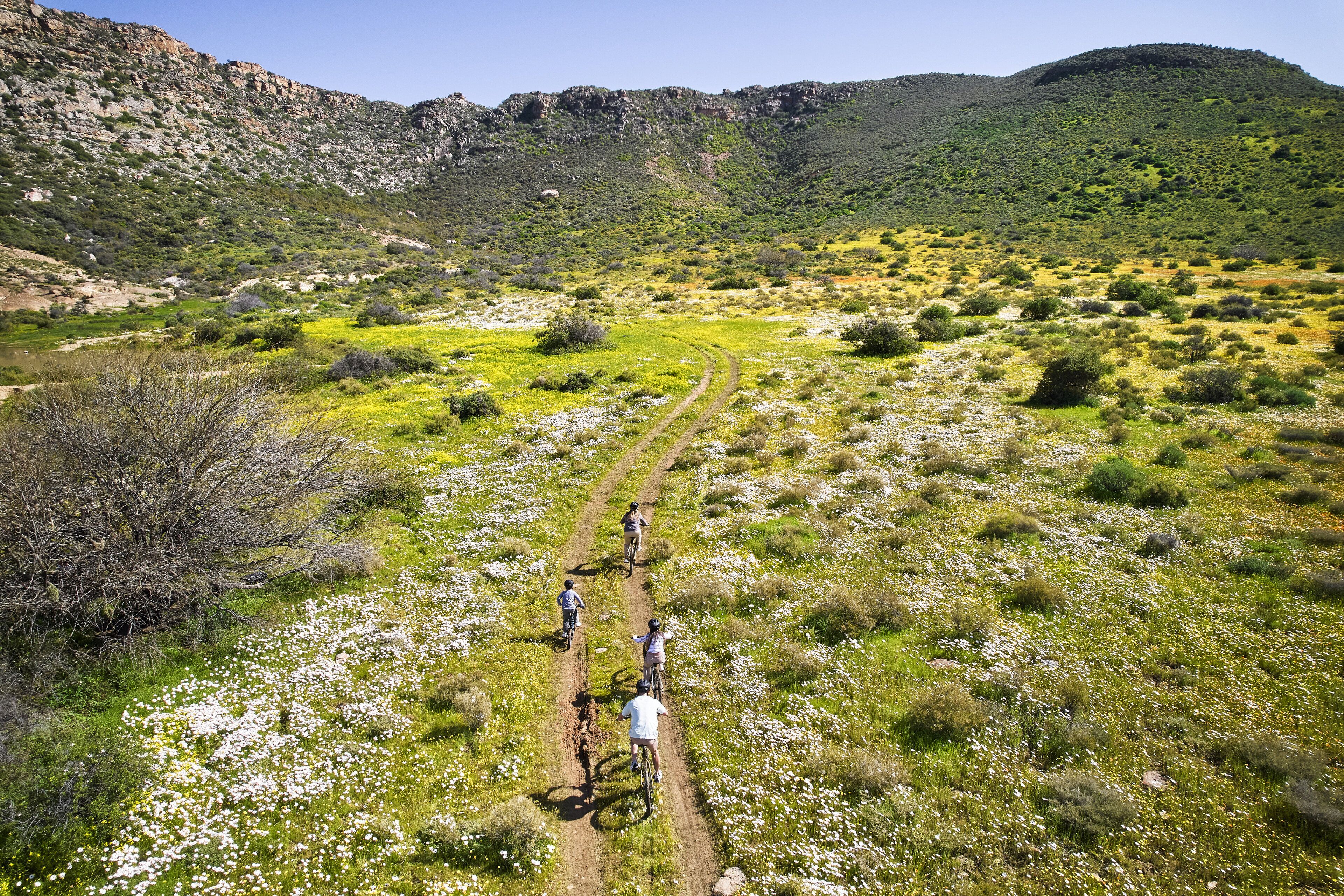 Paisaje montañoso con un sendero de tierra y ciclistas.