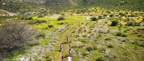 A mountainous landscape with a dirt path and cyclists.