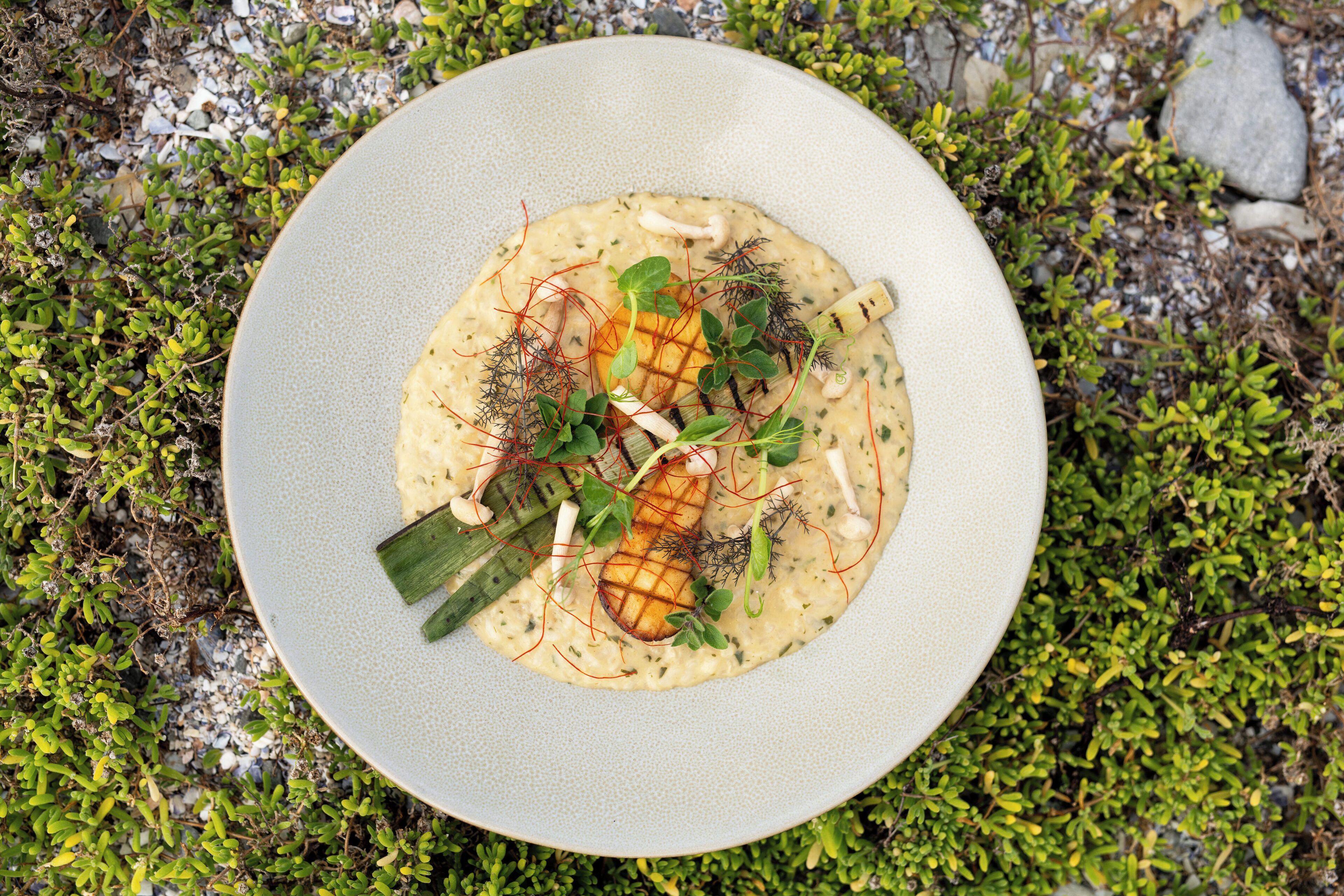 A plate of food with a variety of garnishes and a piece of grilled meat on a textured plate.