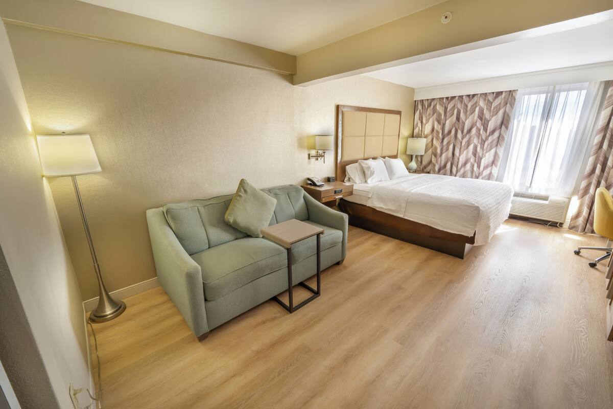 Une chambre d’hôtel avec un lit, un canapé, une table de chevet et une lampe.