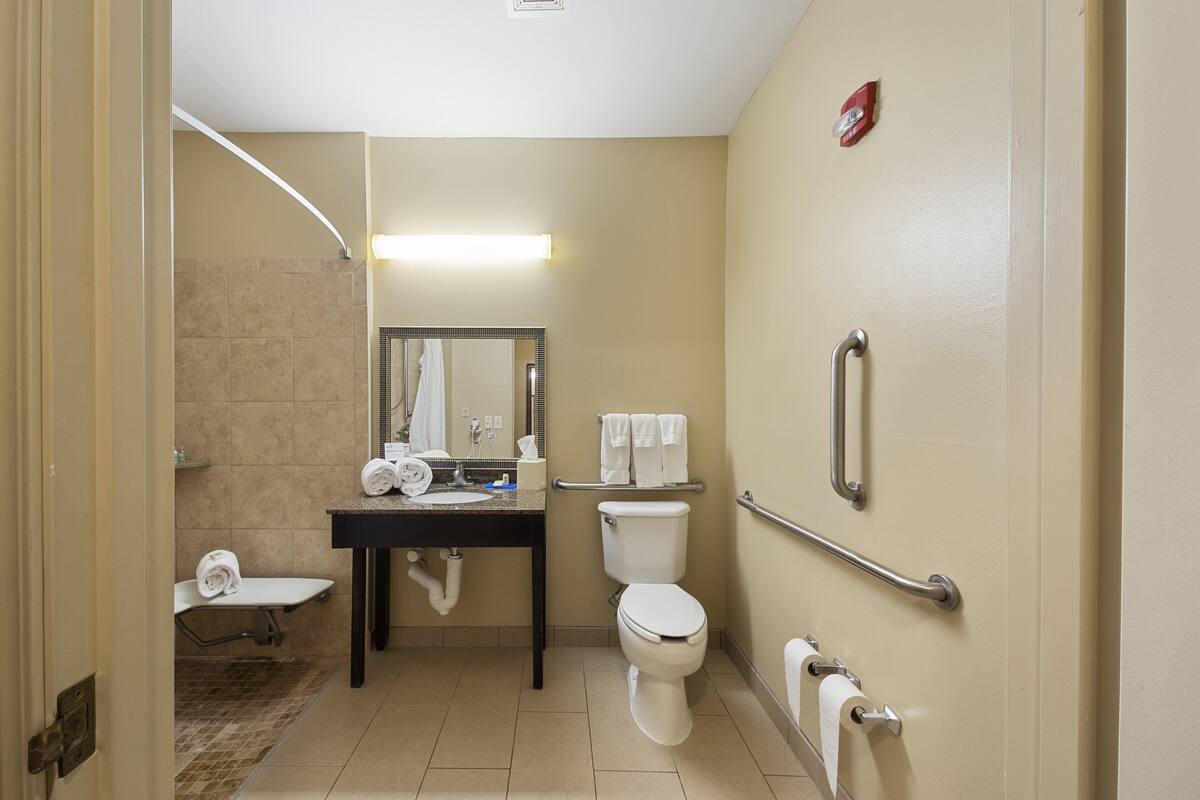 A bathroom with a toilet, sink, mirror, towel rack, and handrails.