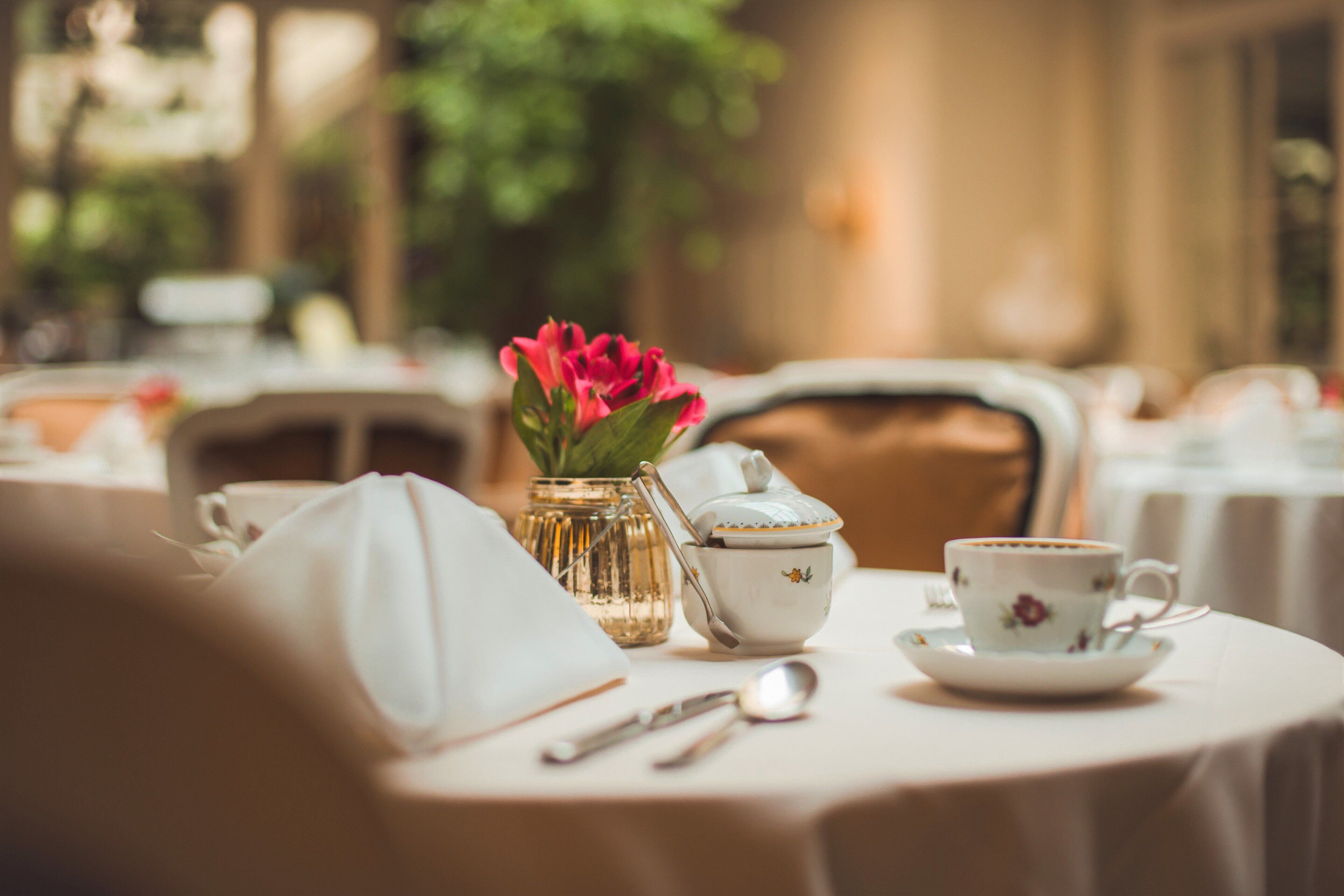 lunch and dinner served