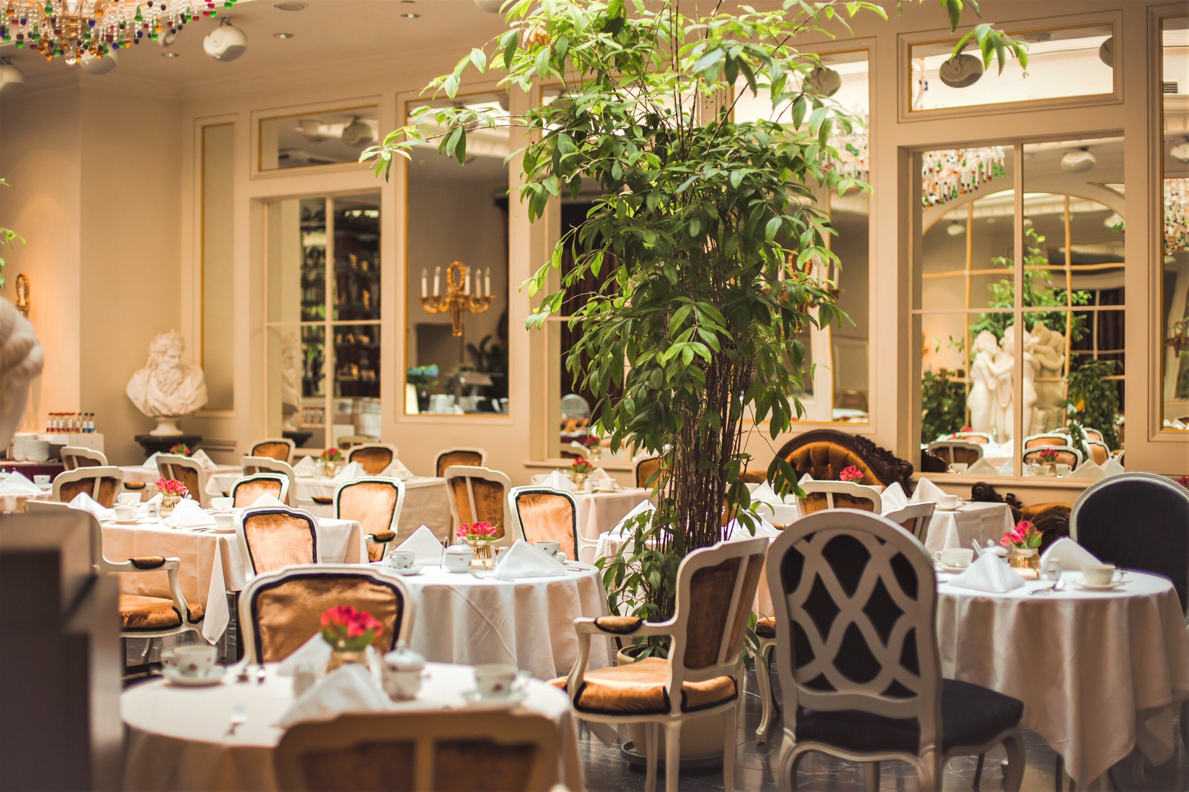 lunch and dinner served