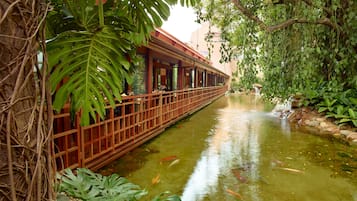 Jardín