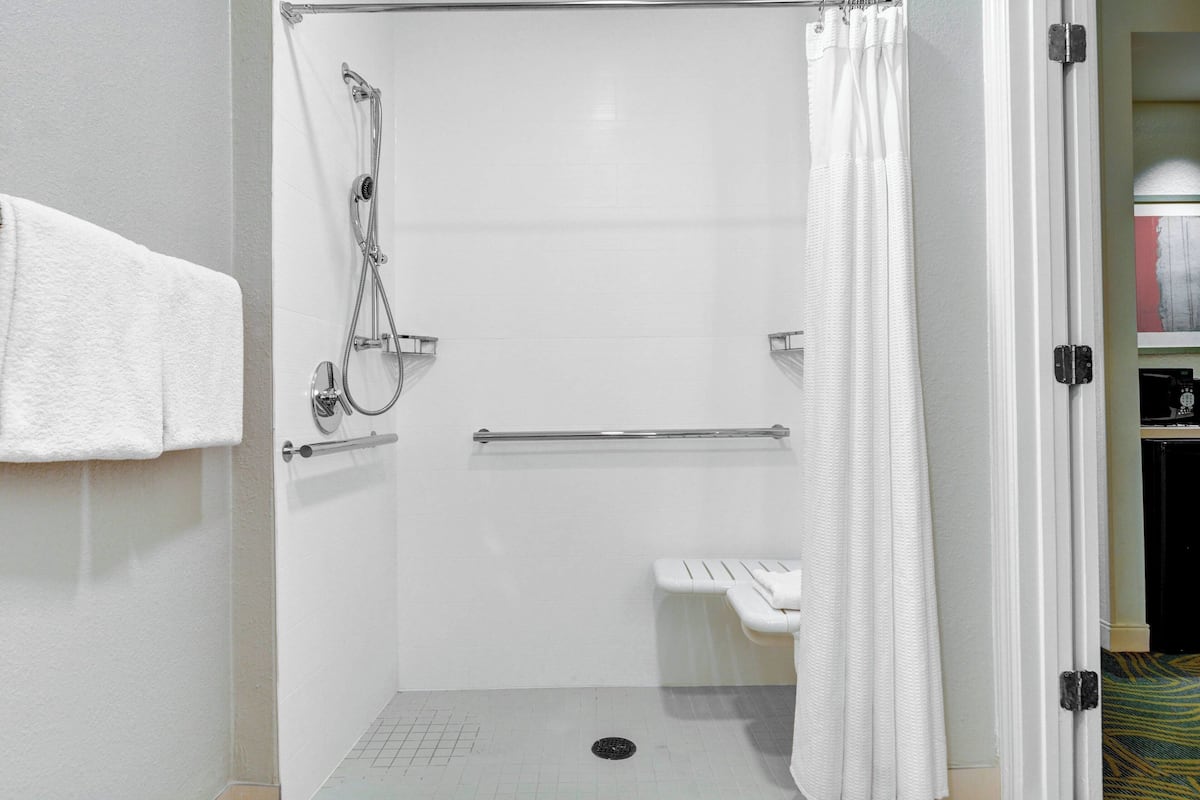 combined shower/bathtub, free toiletries, hair dryer, towels