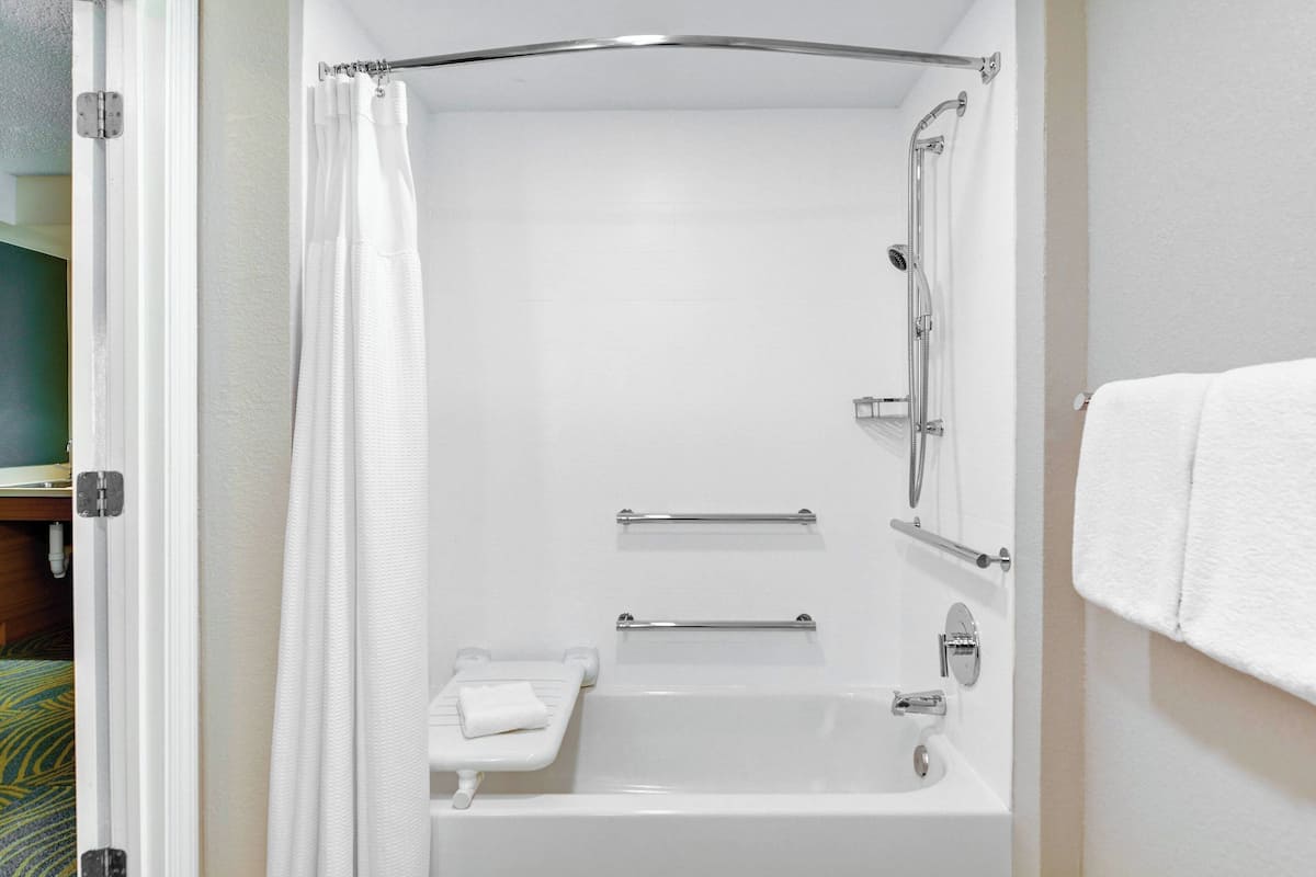 combined shower/bathtub, free toiletries, hair dryer, towels