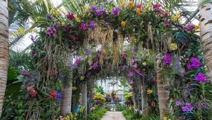 An indoor garden with a stone pathway leading through a lush archway of various flowers and plants. - MainStay Suites Northbrook Wheeling (Wheeling)